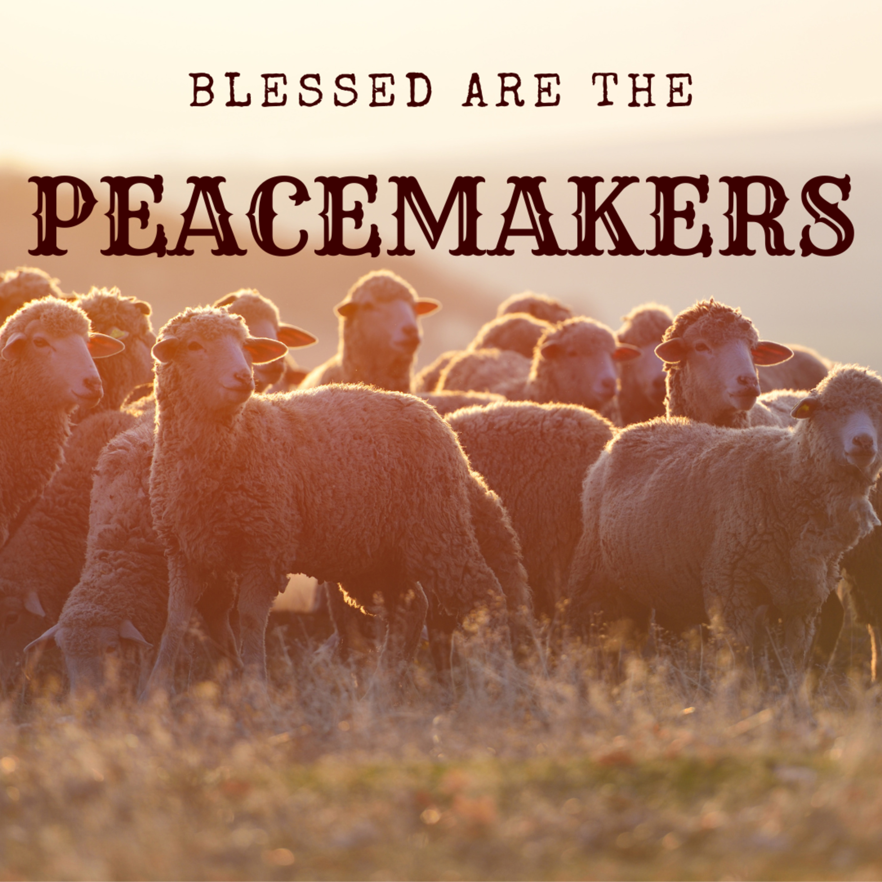 Blessed are the Peacemakers: Week 1 episode artwork