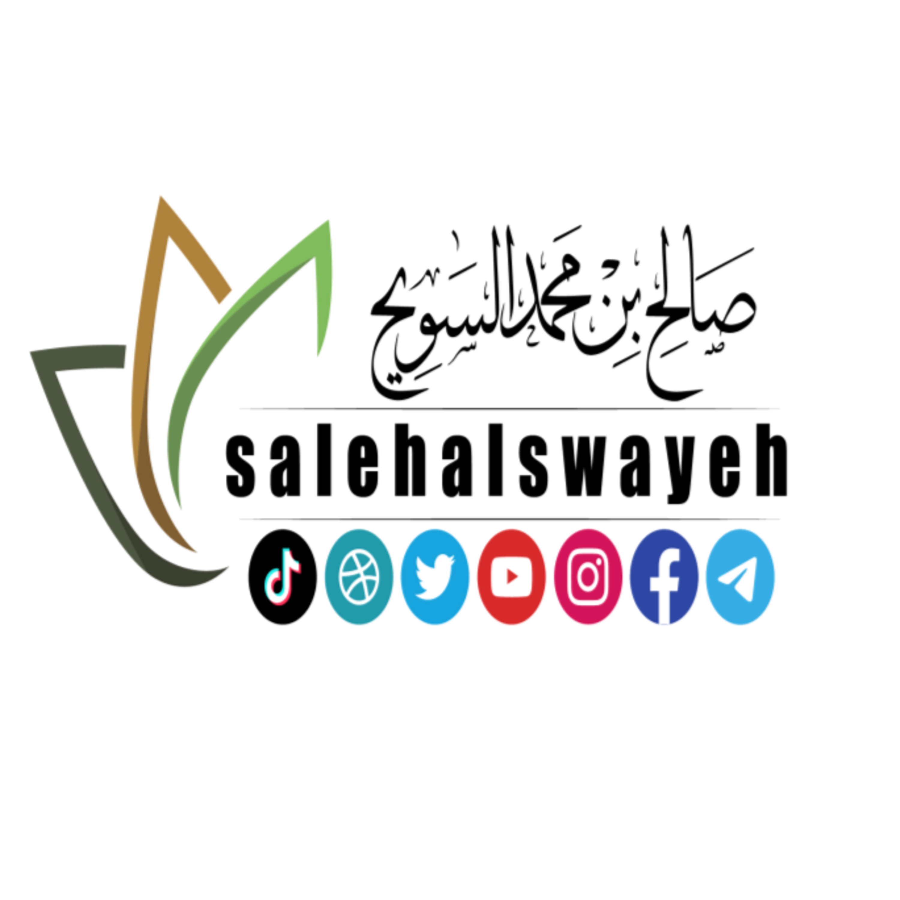 1 - شرح رسالة فضل الإسلام ( الشرح الأول ) - الدرس الأول  episode artwork