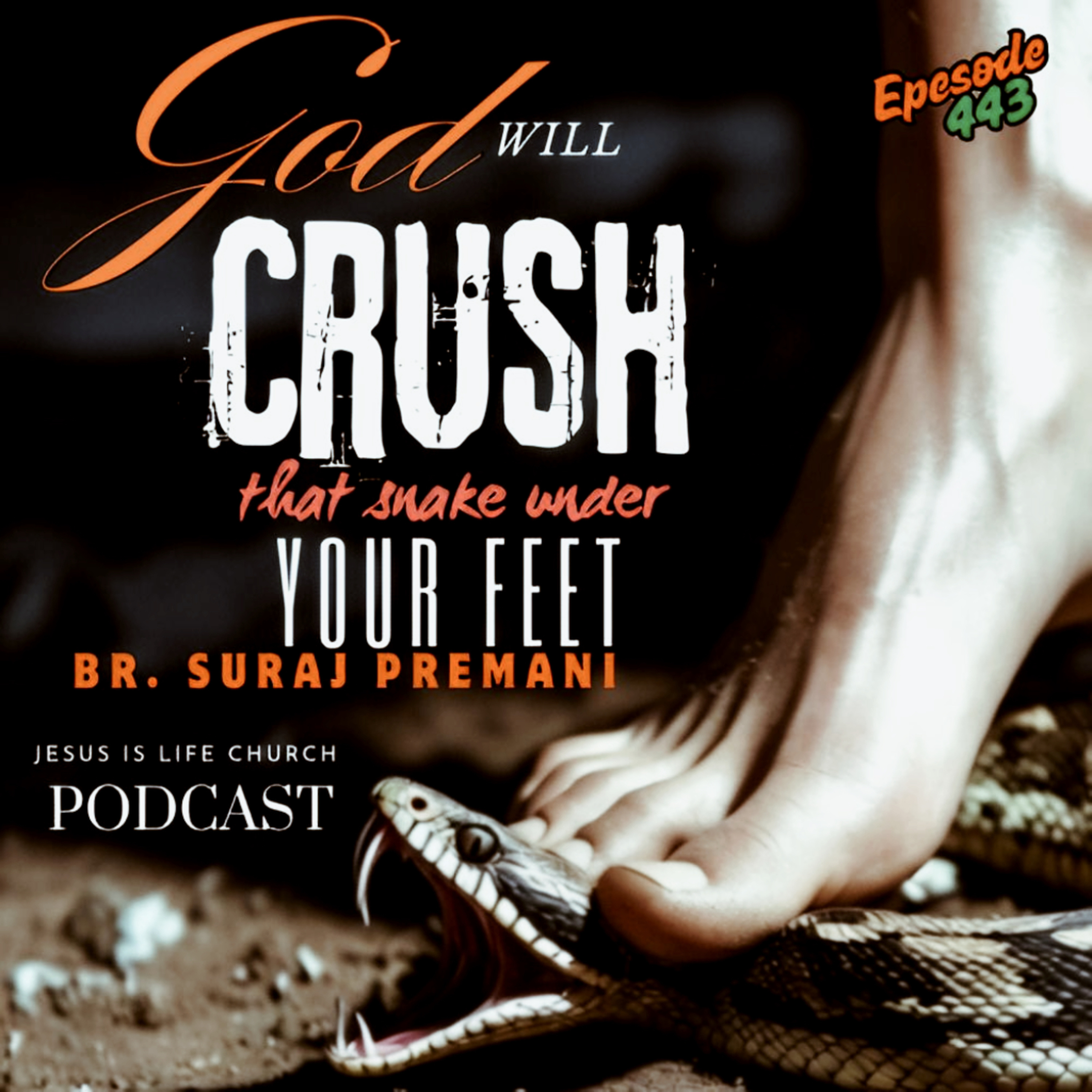 GOD WILL CHRUSH THAT SNAKE UNDER YOUR FEET - Suraj Premani 443 episode artwork
