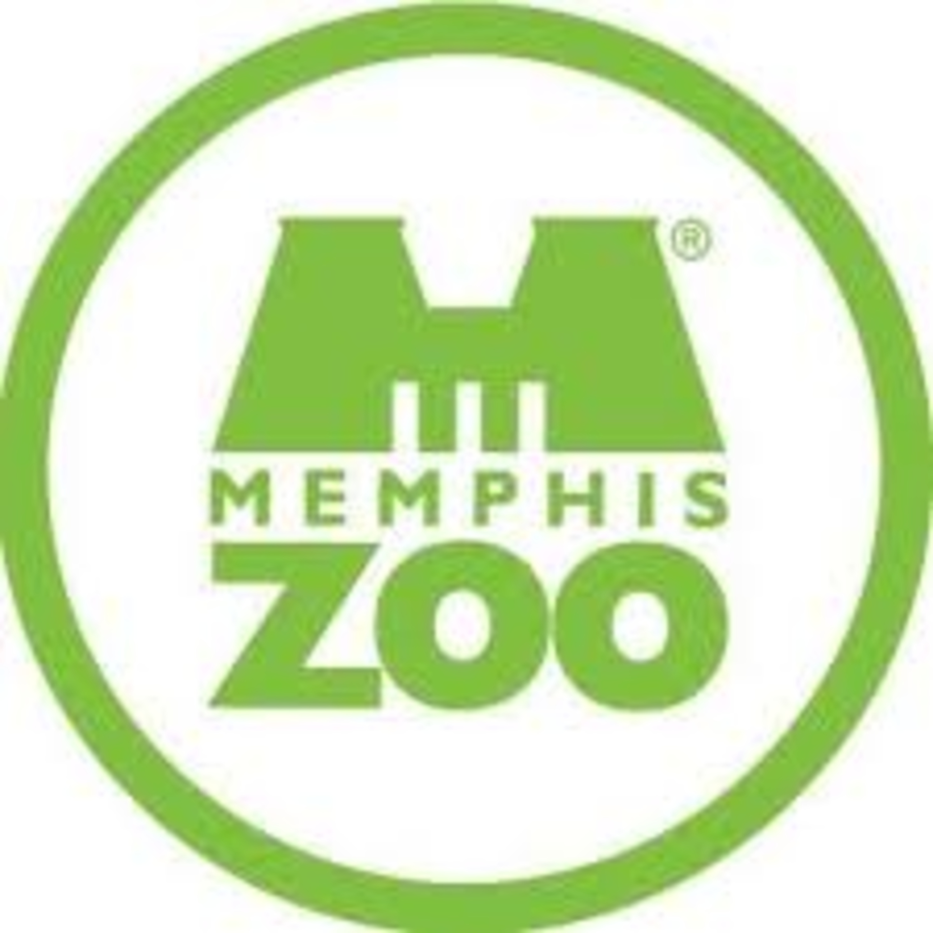 Memphis Mike and Friends