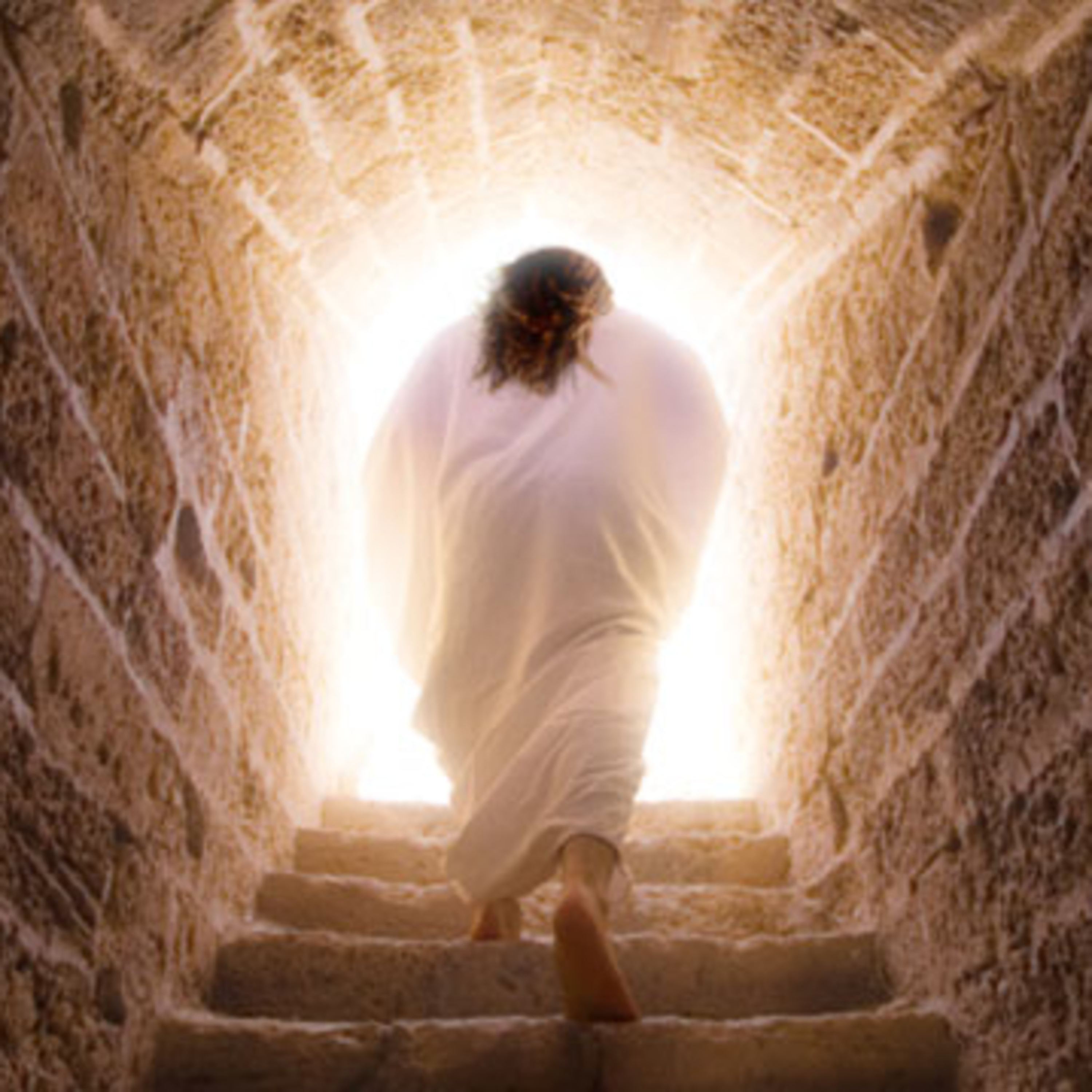 Exploring Your Faith LIVE with Bishop Mark
