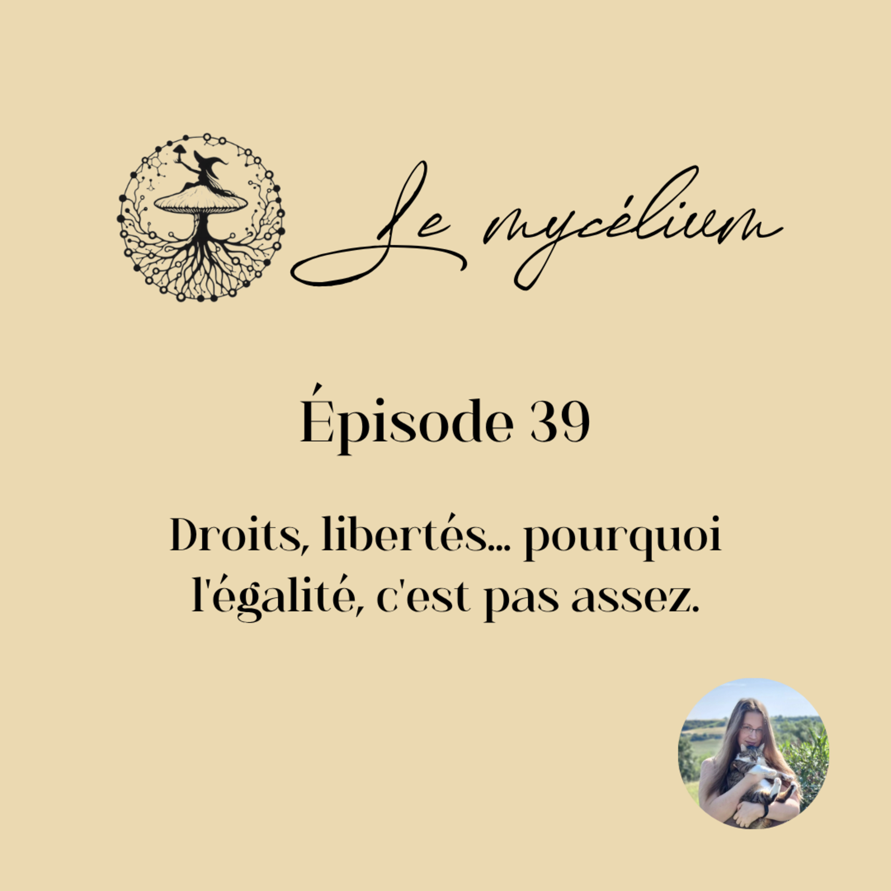 39 - Droits, libertés... pourquoi l'égalité, c'est pas assez episode artwork