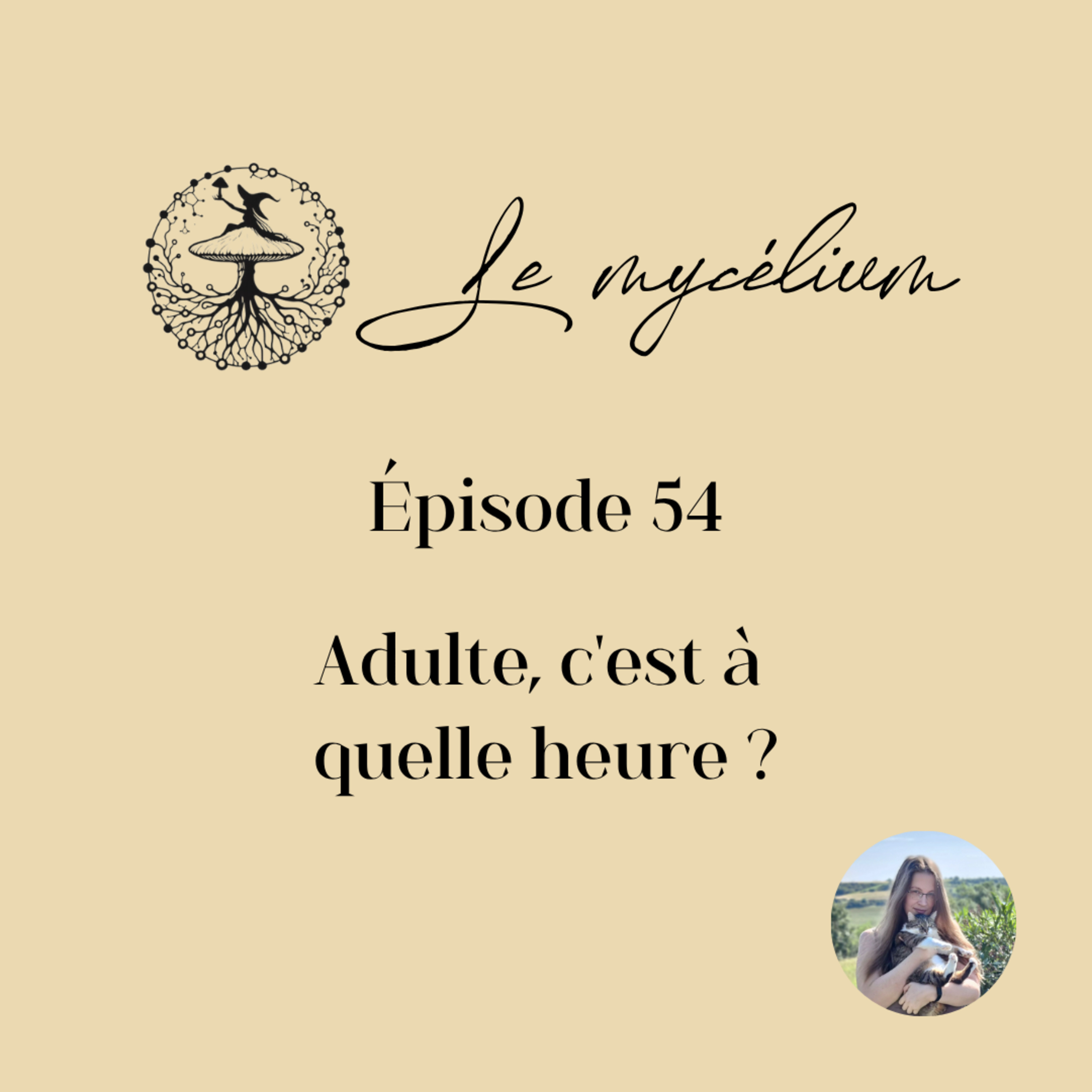 54 - Adulte, c'est à quelle heure? episode artwork