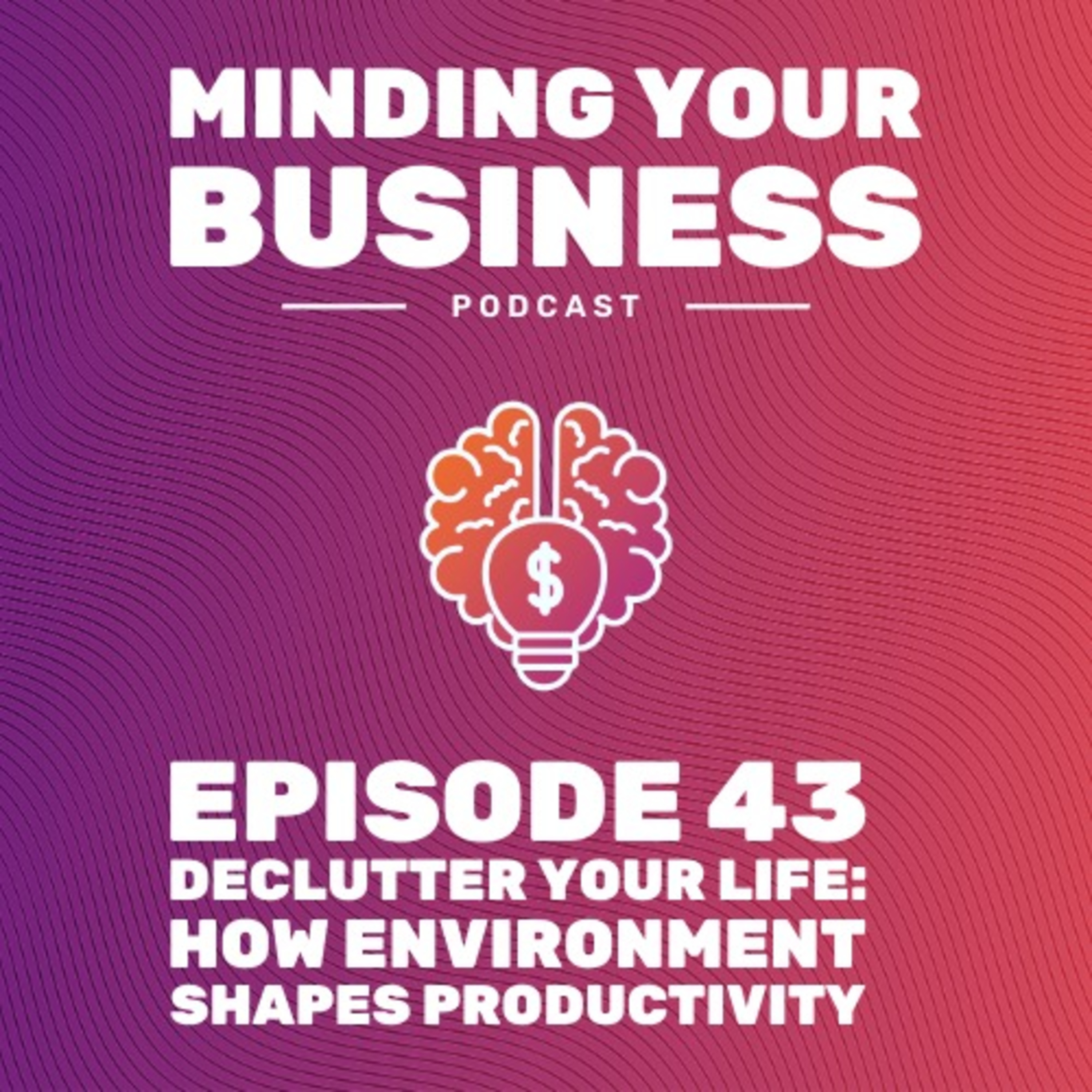 Episode 43: Declutter Your Life: How Environment Shapes Productivity
