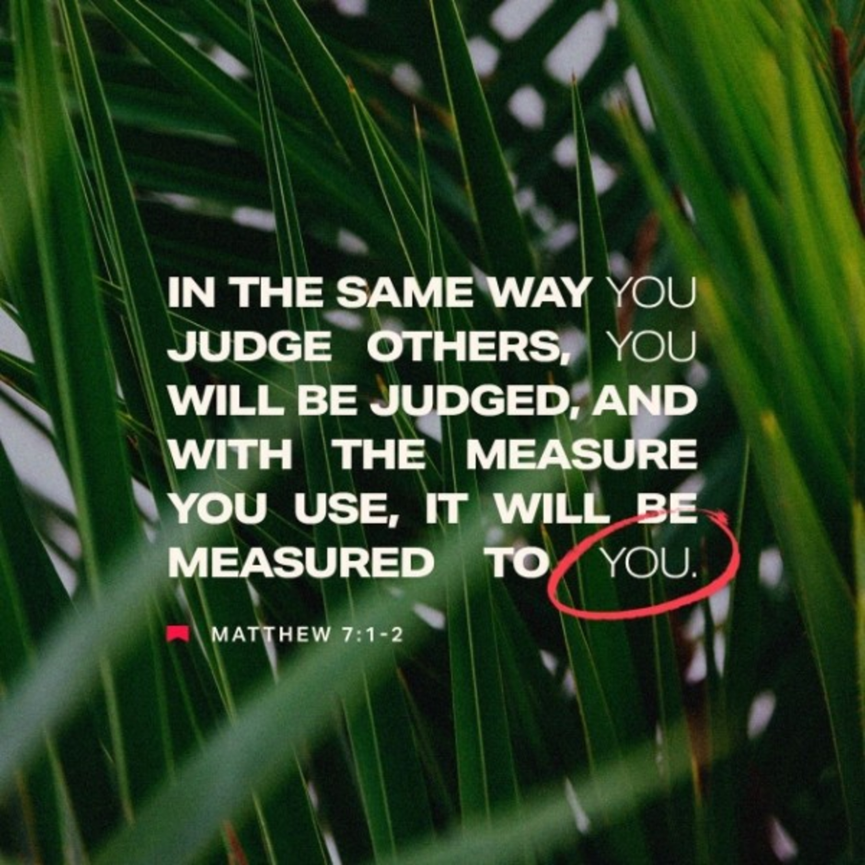Judging Others, Stumbling Blocks, & Church Entertainment episode artwork