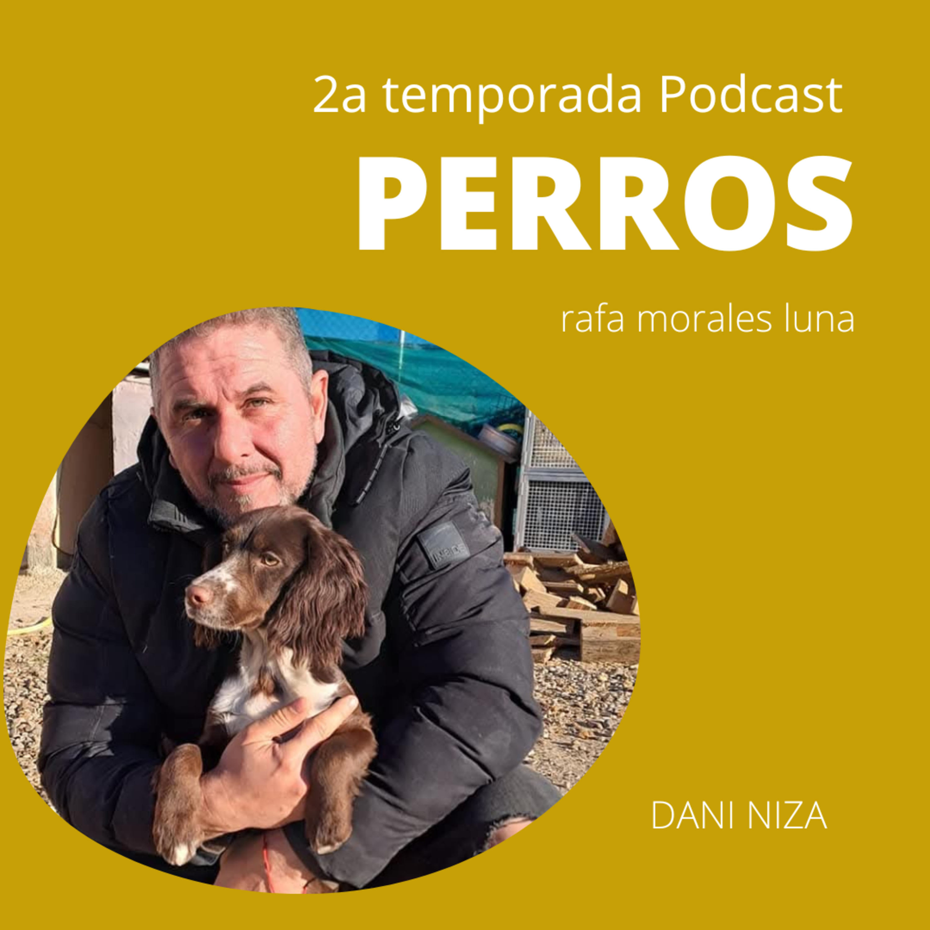 PERROS