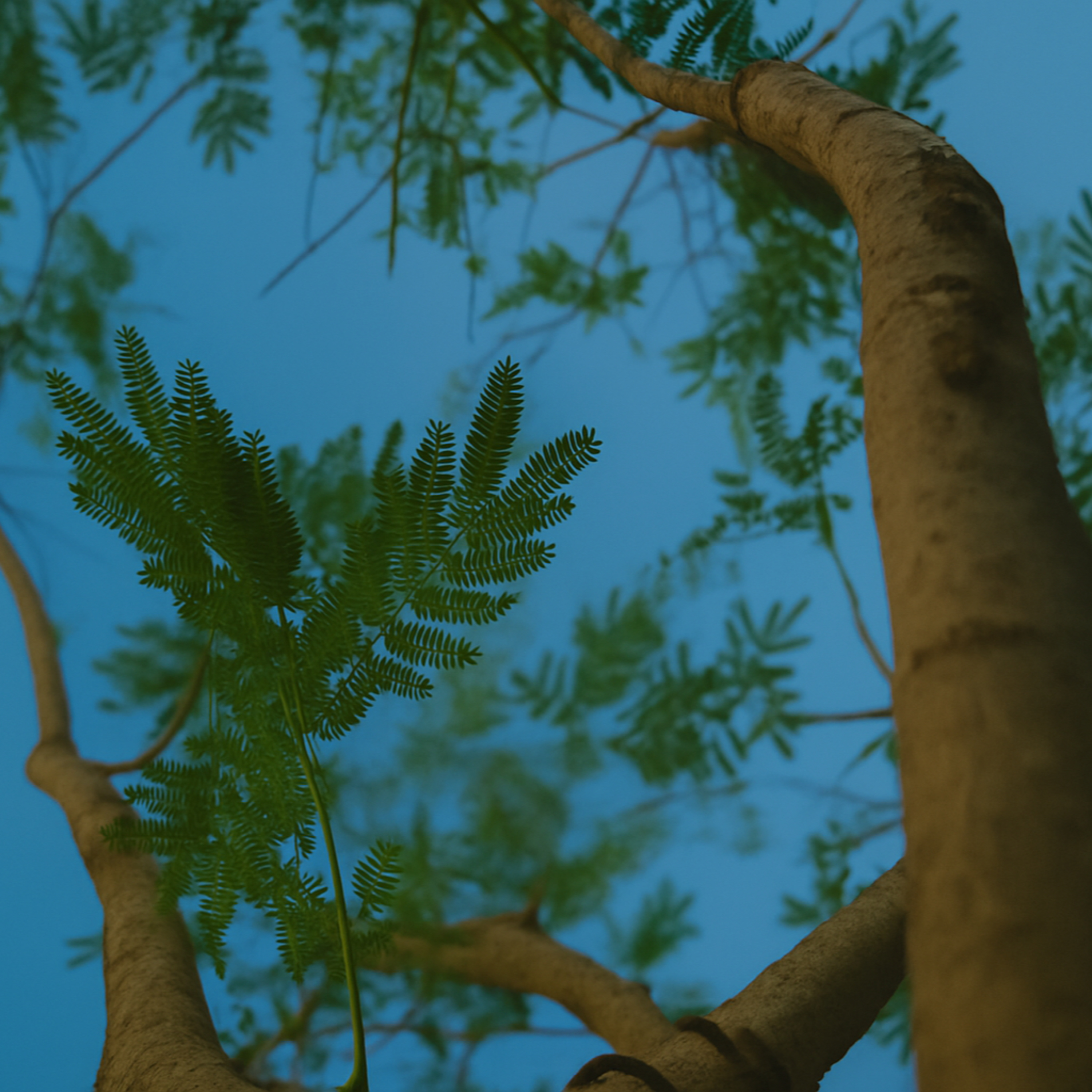 Paroles de designer en permaculture (jardinage et cueillette sauvage)