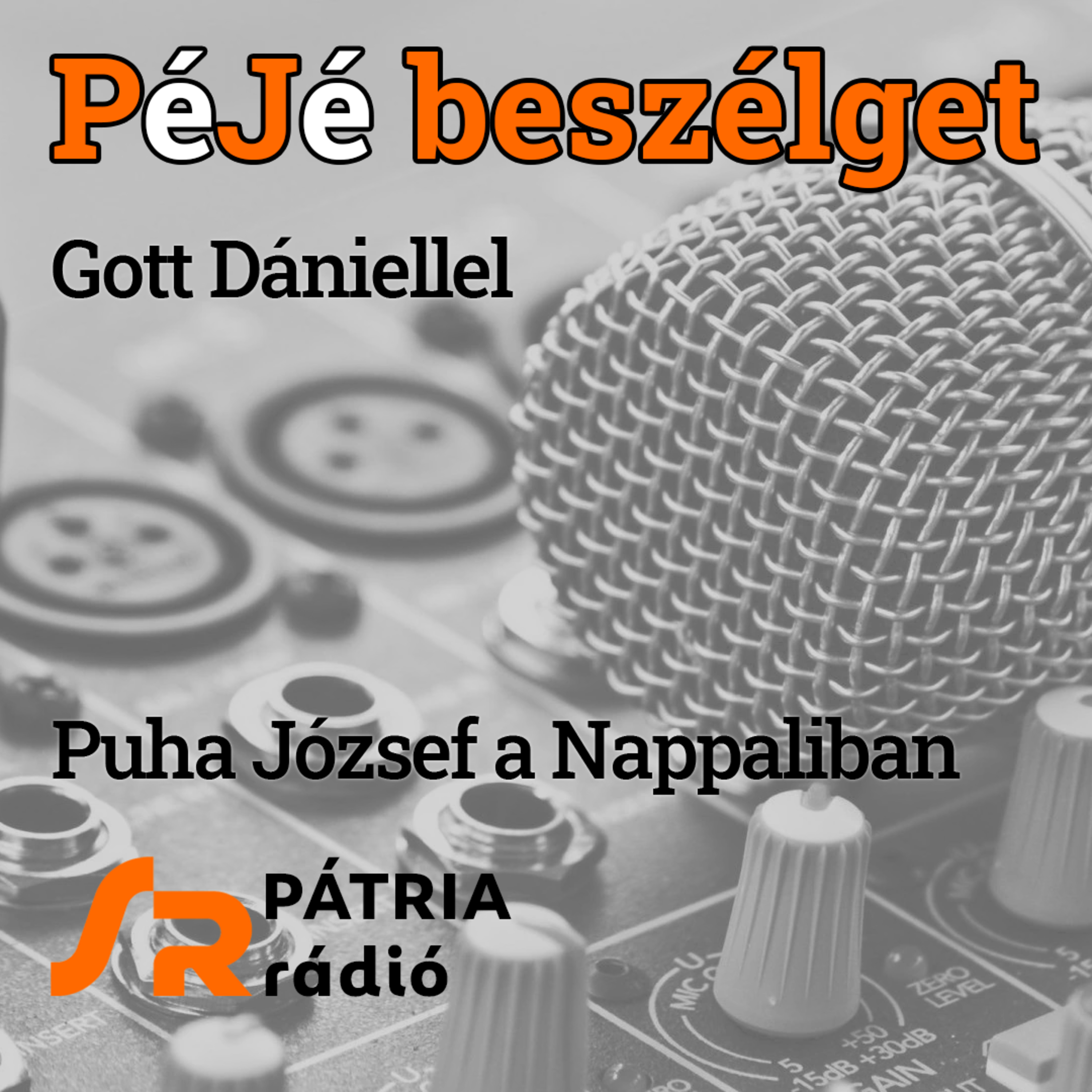 PéJé beszélget #31 | „A józan ész győzött a butaság felett” – a magyarországi választásokról Gott Dániel youtuberrel episode artwork