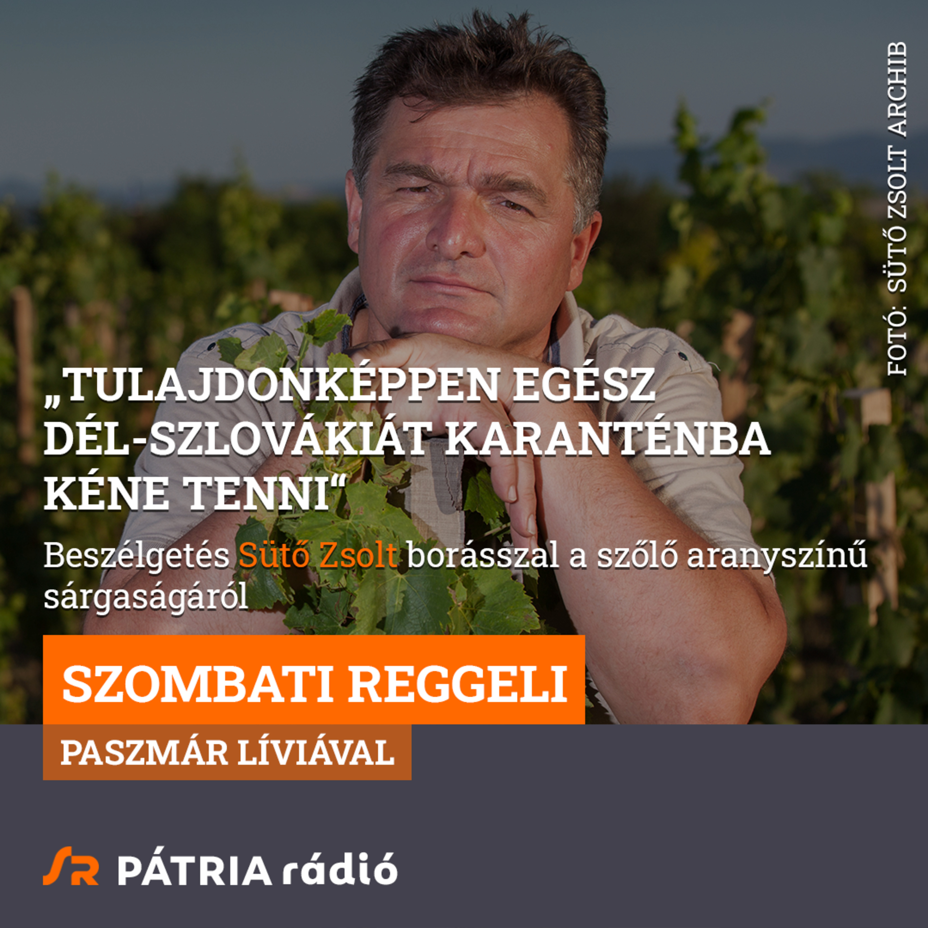 Szombati Reggeli 2026-06-13 #01 | „Tulajdonképpen egész Dél-Szlovákiát karanténba kéne tenni“ episode artwork