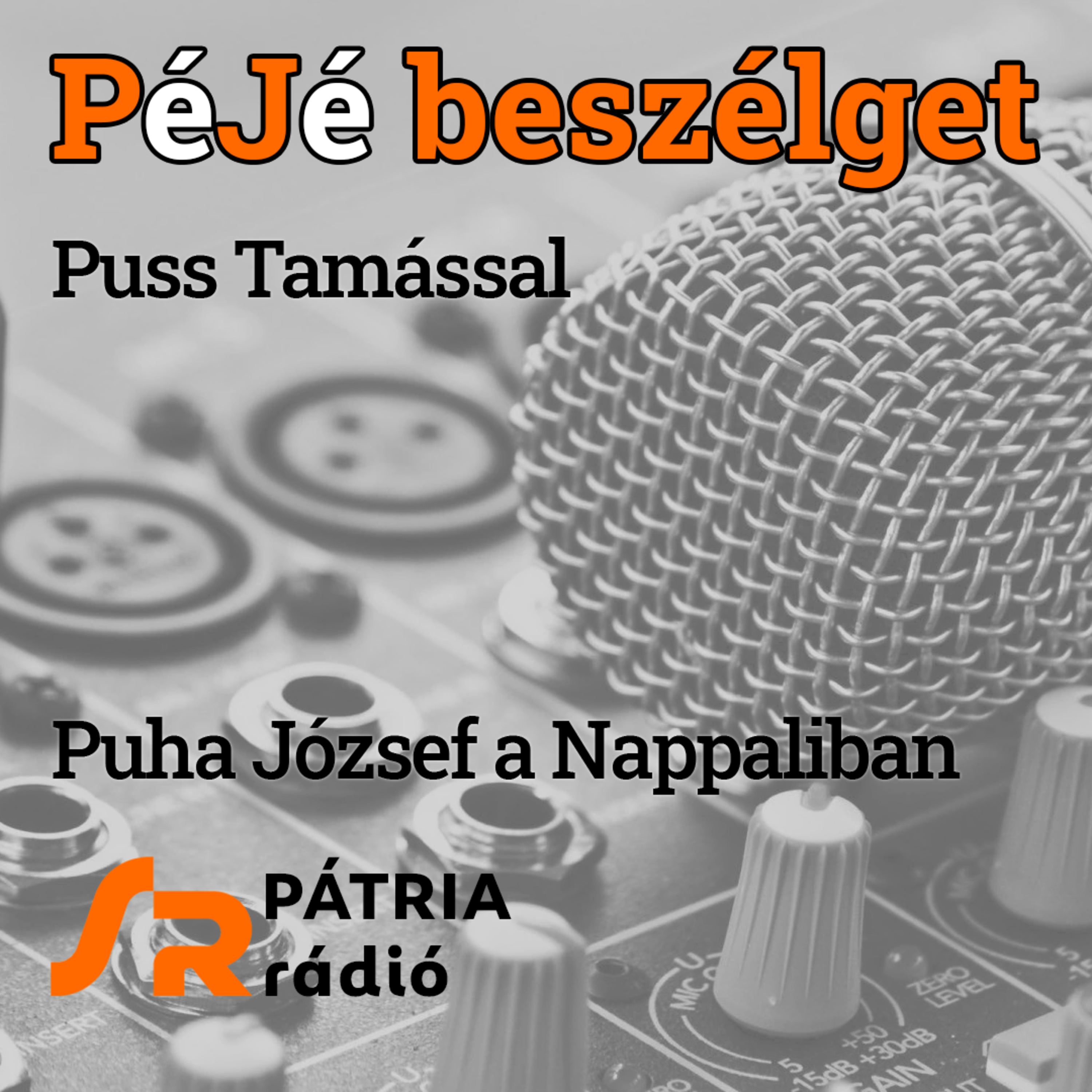 PéJé beszélget #36 | „Cseresznyefák alatt az álmok az égig értek” – születésnapi beszélgetés Puss Tamással episode artwork