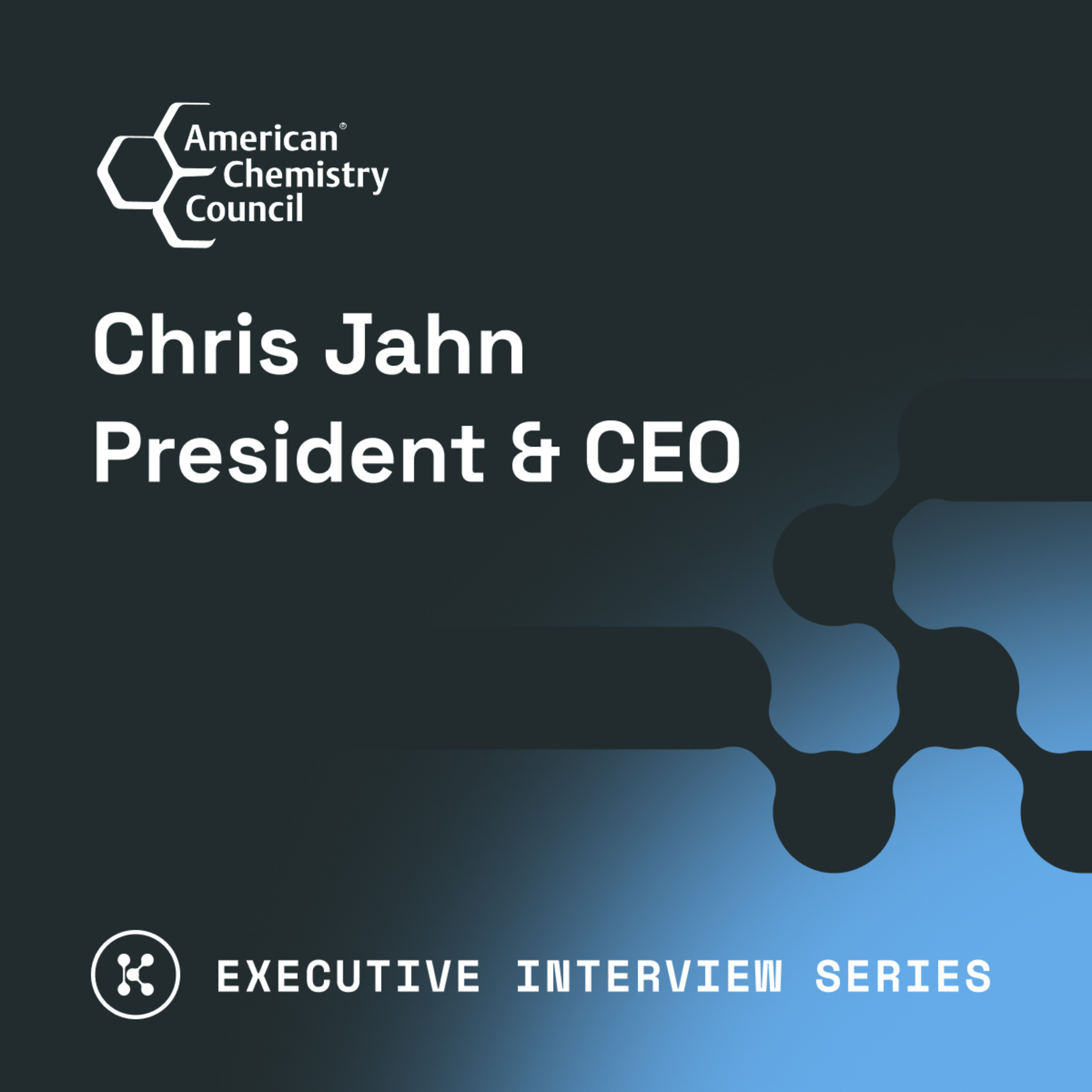 Executive Interview Series