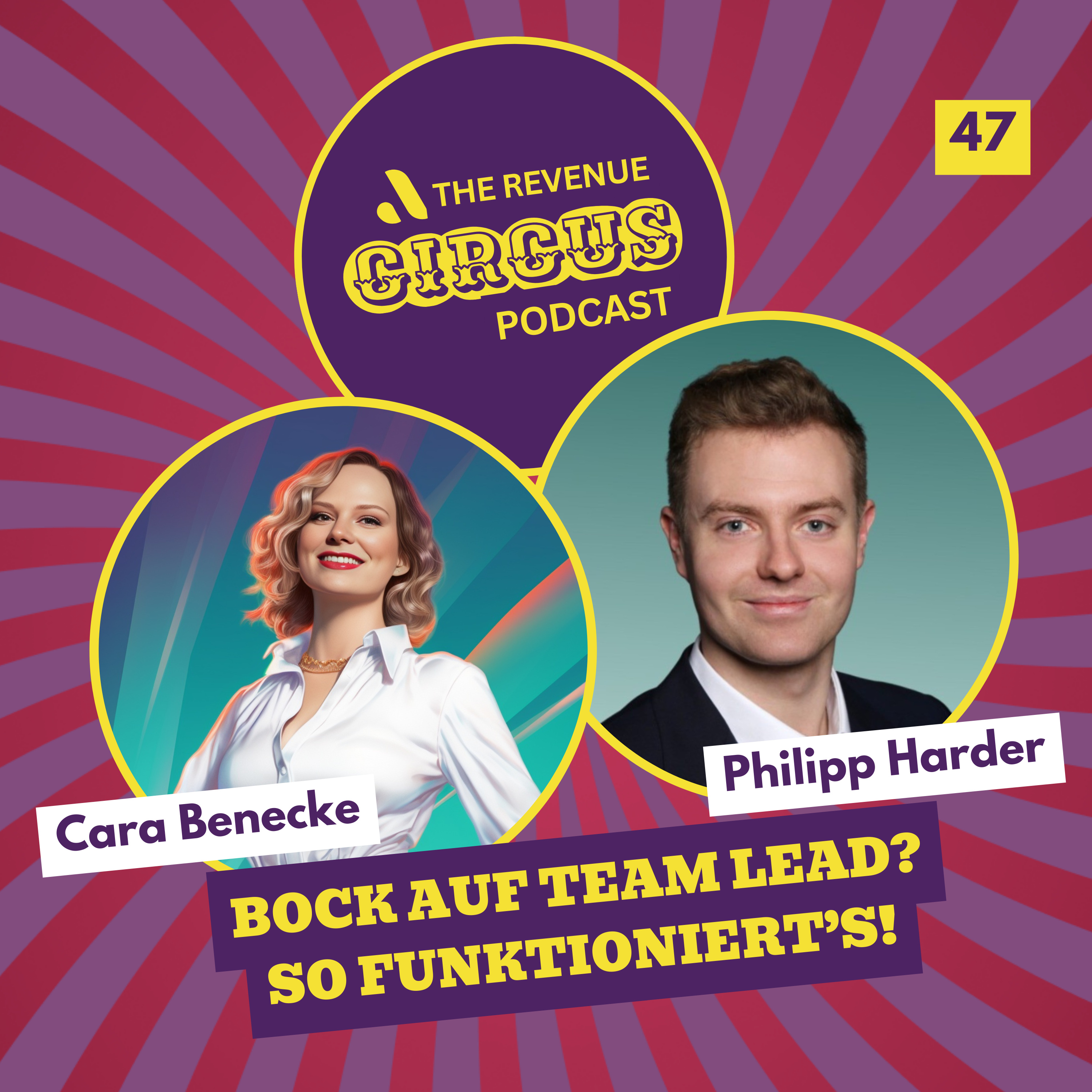 🇩🇪 Bock auf Team Lead? So funktioniert's! | #47 Philipp Harder - Sales Team Lead @WorkFlex episode artwork