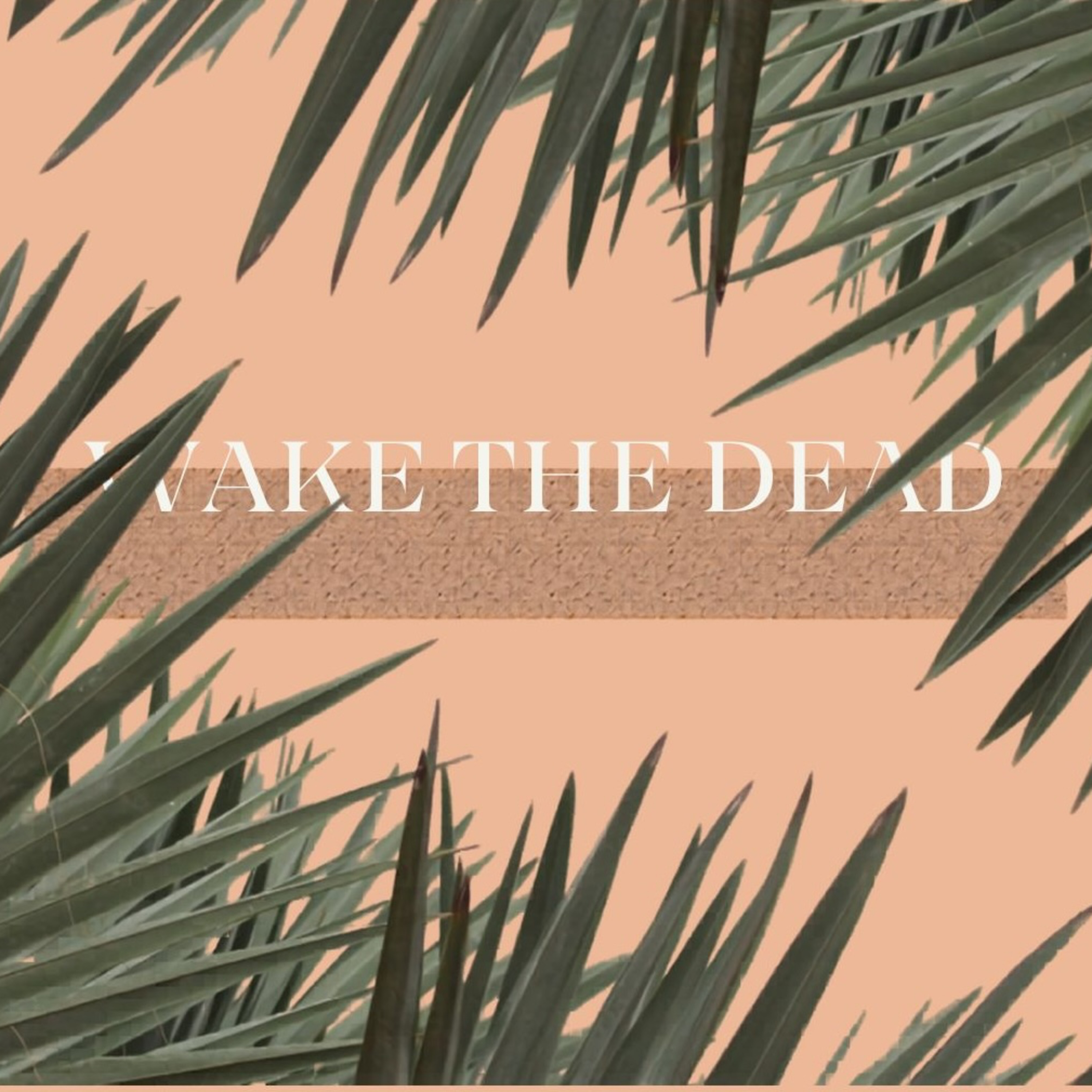 Wake the Dead - Part 1 episode artwork