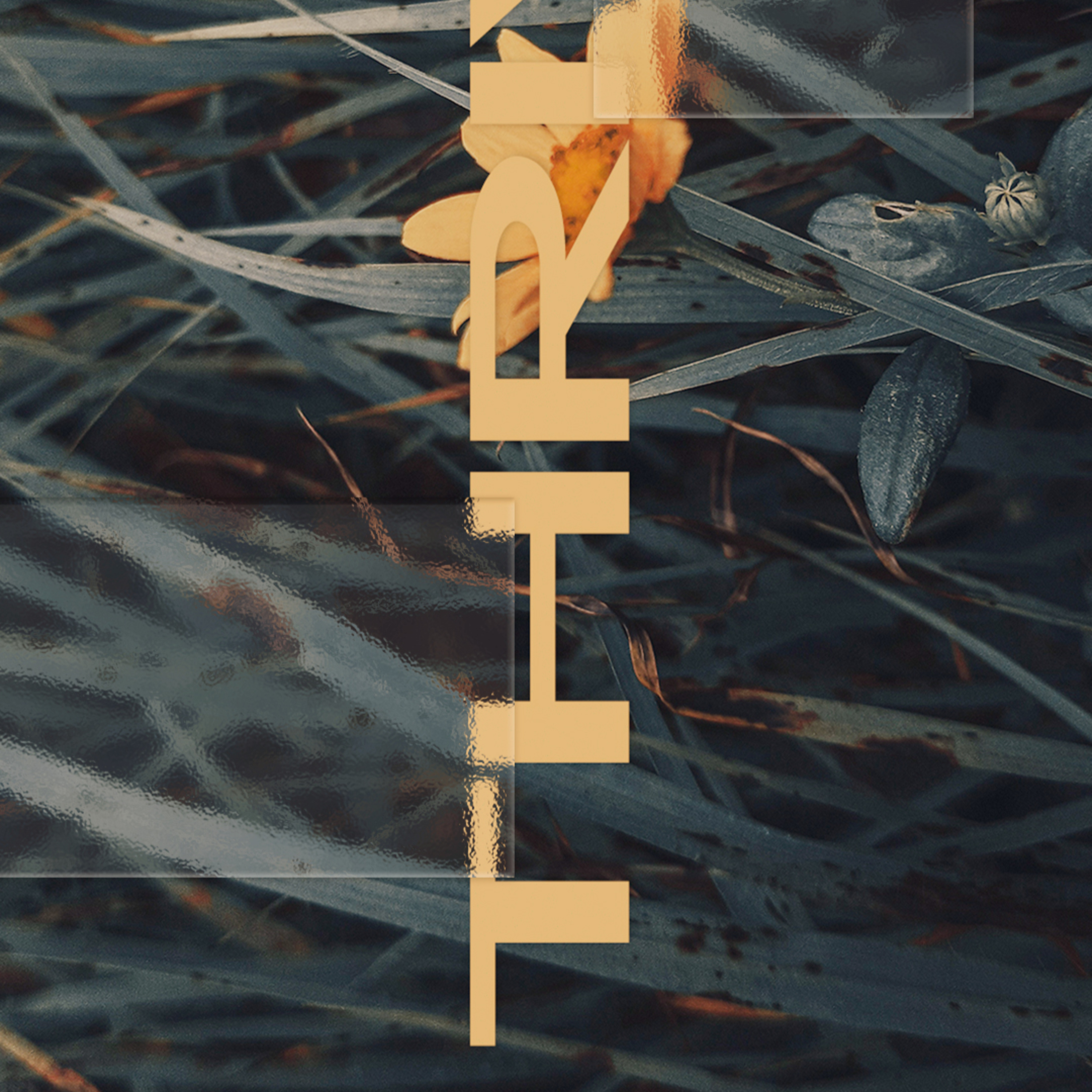 Thrive: Generosity episode artwork