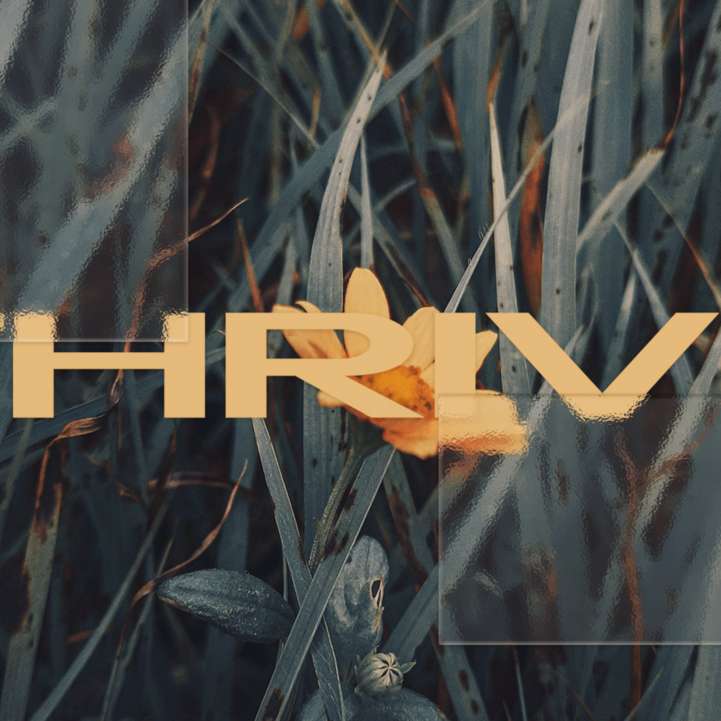 Thriving in Suffering episode artwork
