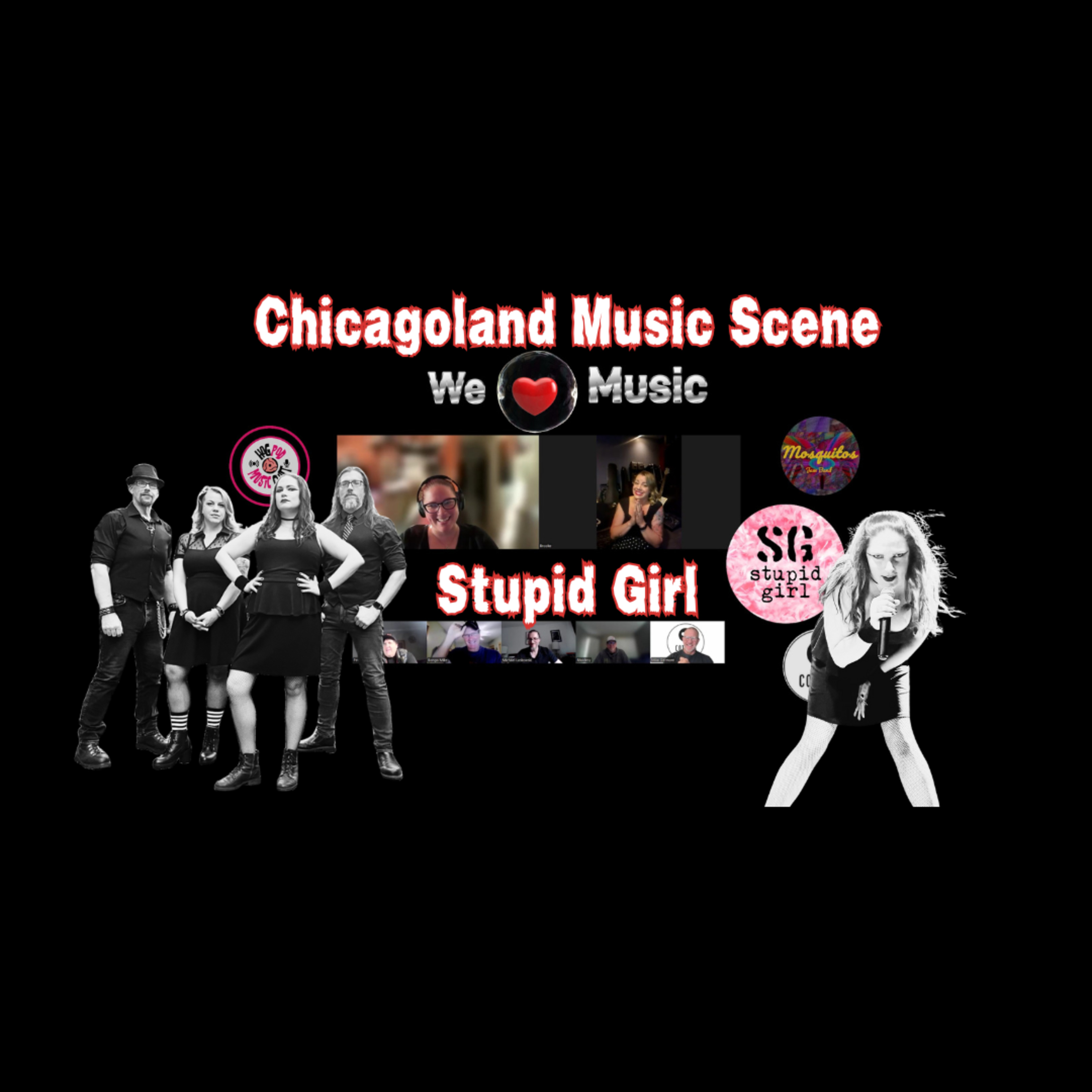 H.O.G. POD: Chicagoland Hyper Local Music Scene