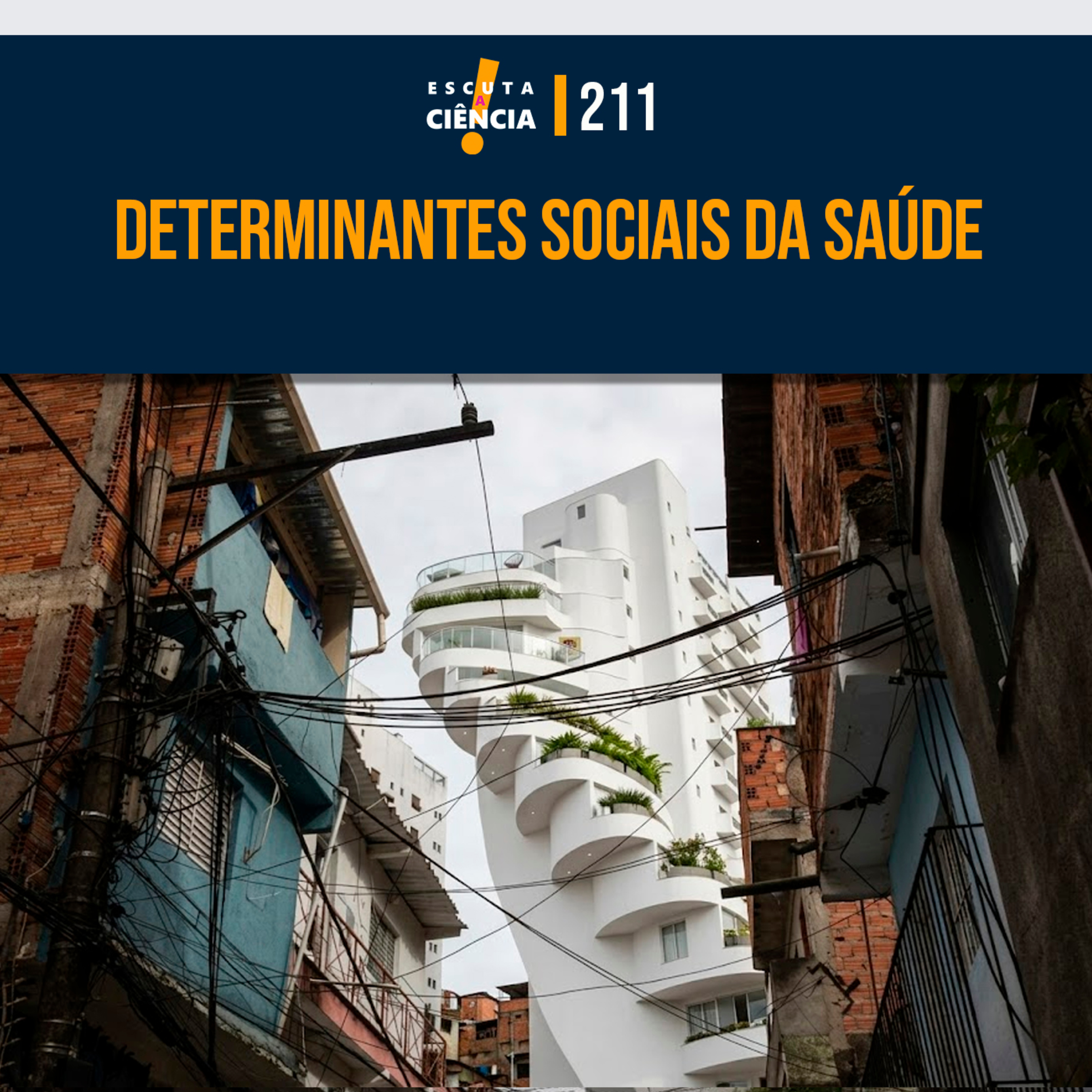 Determinantes sociais da saúde