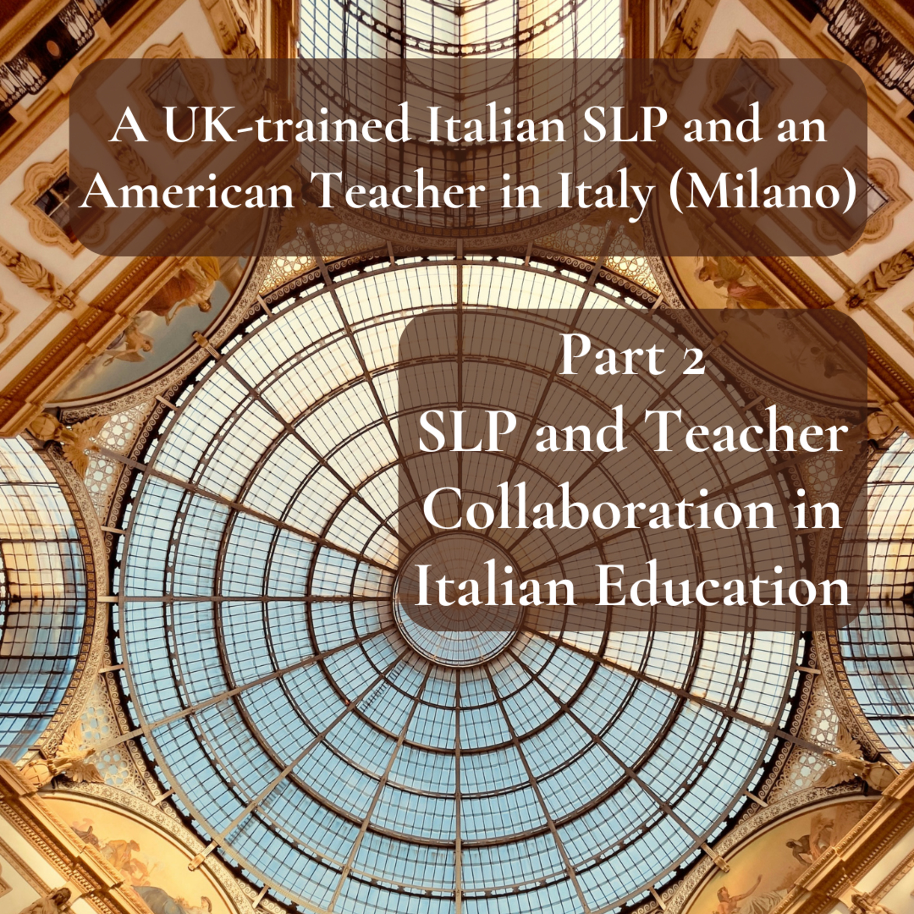 *Special Preview* UK and USA to Italy, Part 2: SLP and Teacher Collaboration episode artwork