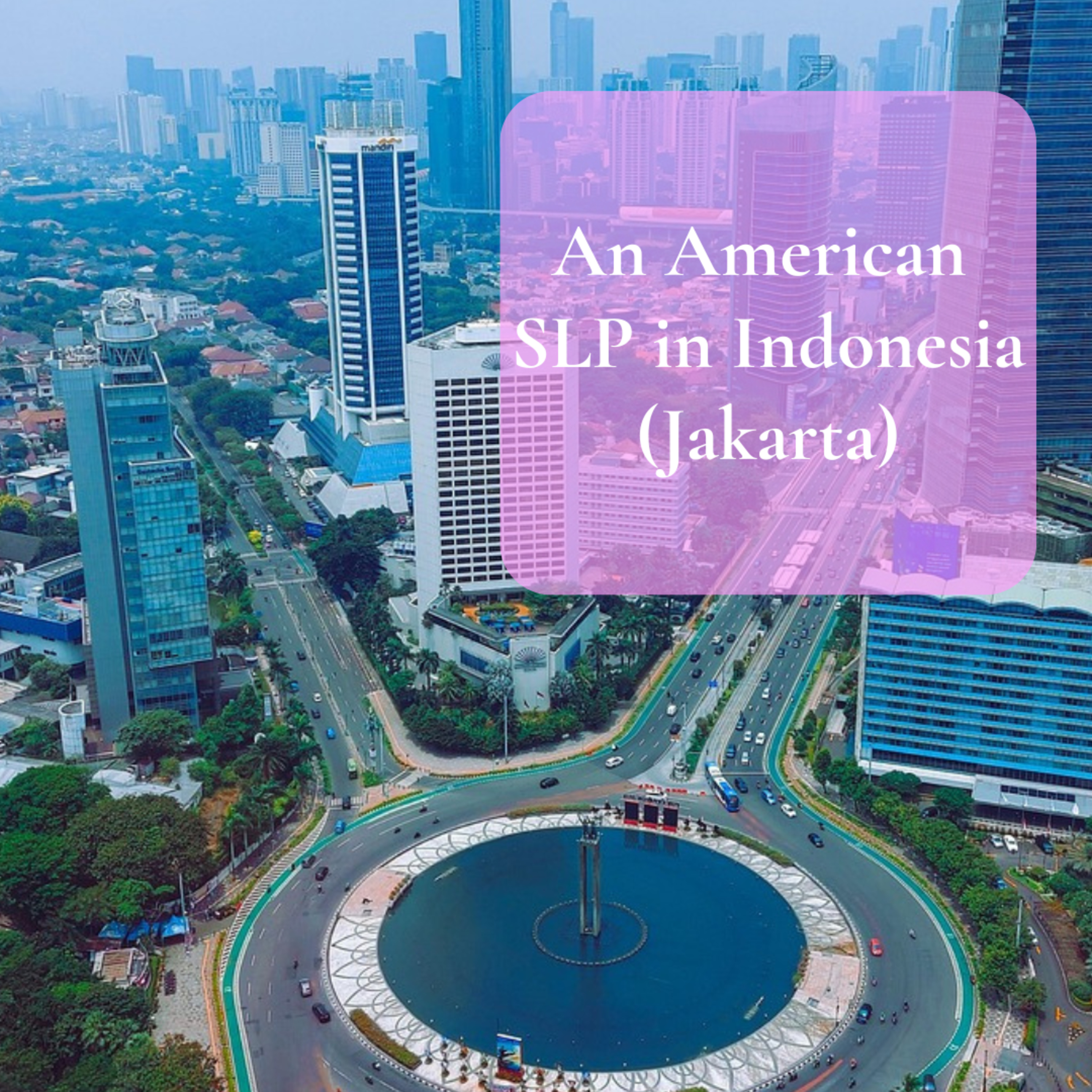An American SLP in Indonesia (Jakarta) episode artwork