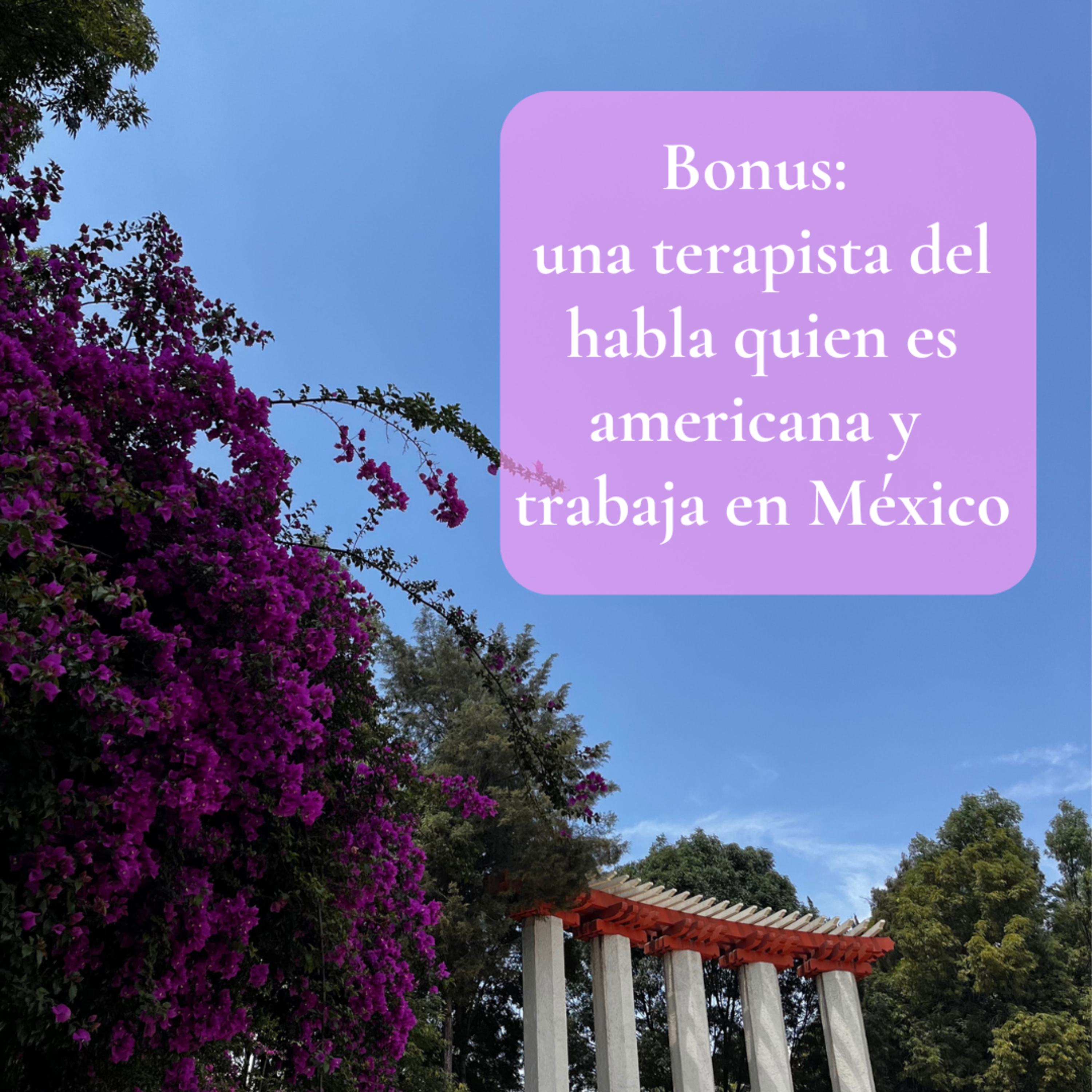 Bonus: una terapista del habla quien es americana y trabaja en México episode artwork