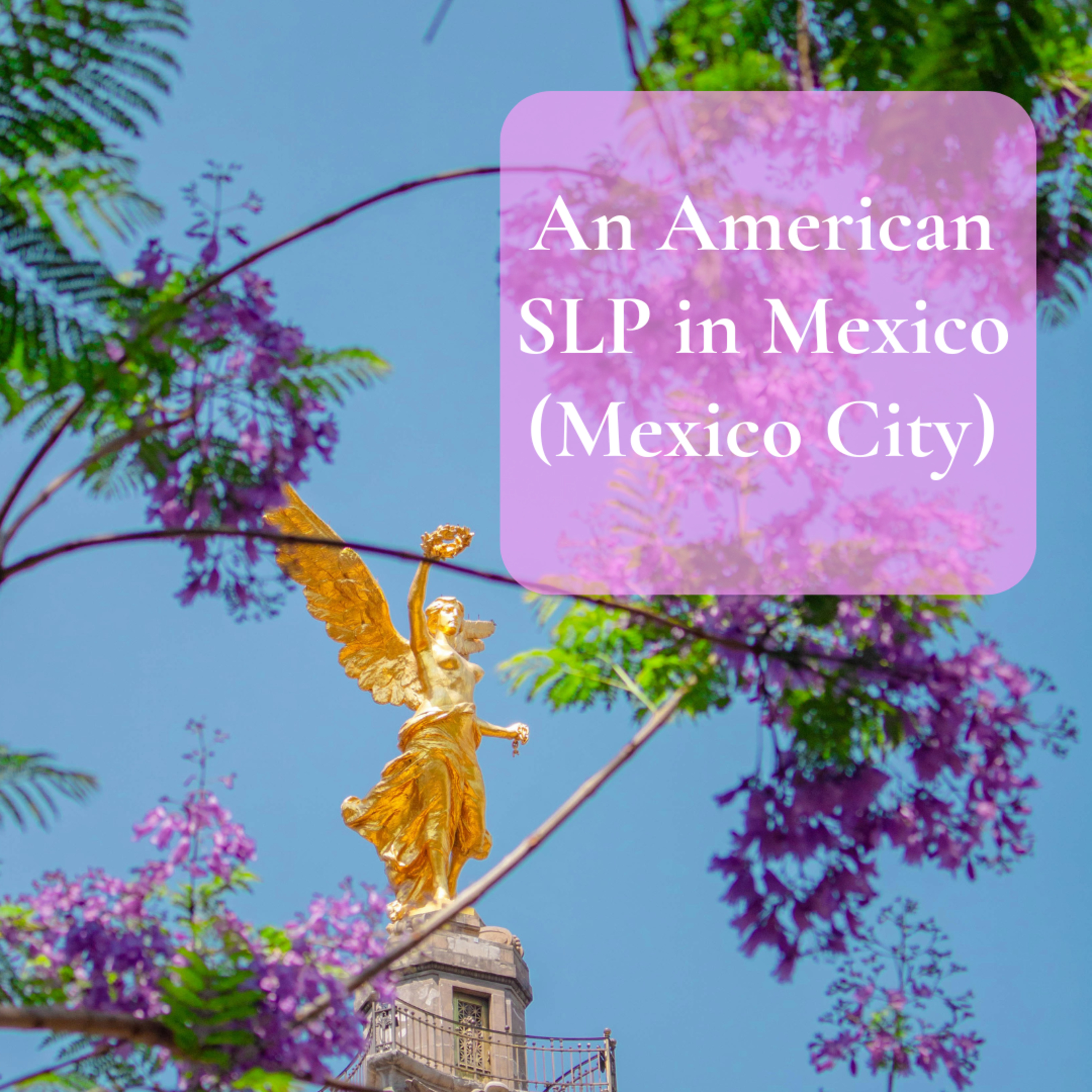 An American SLP in Mexico (Mexico City) episode artwork