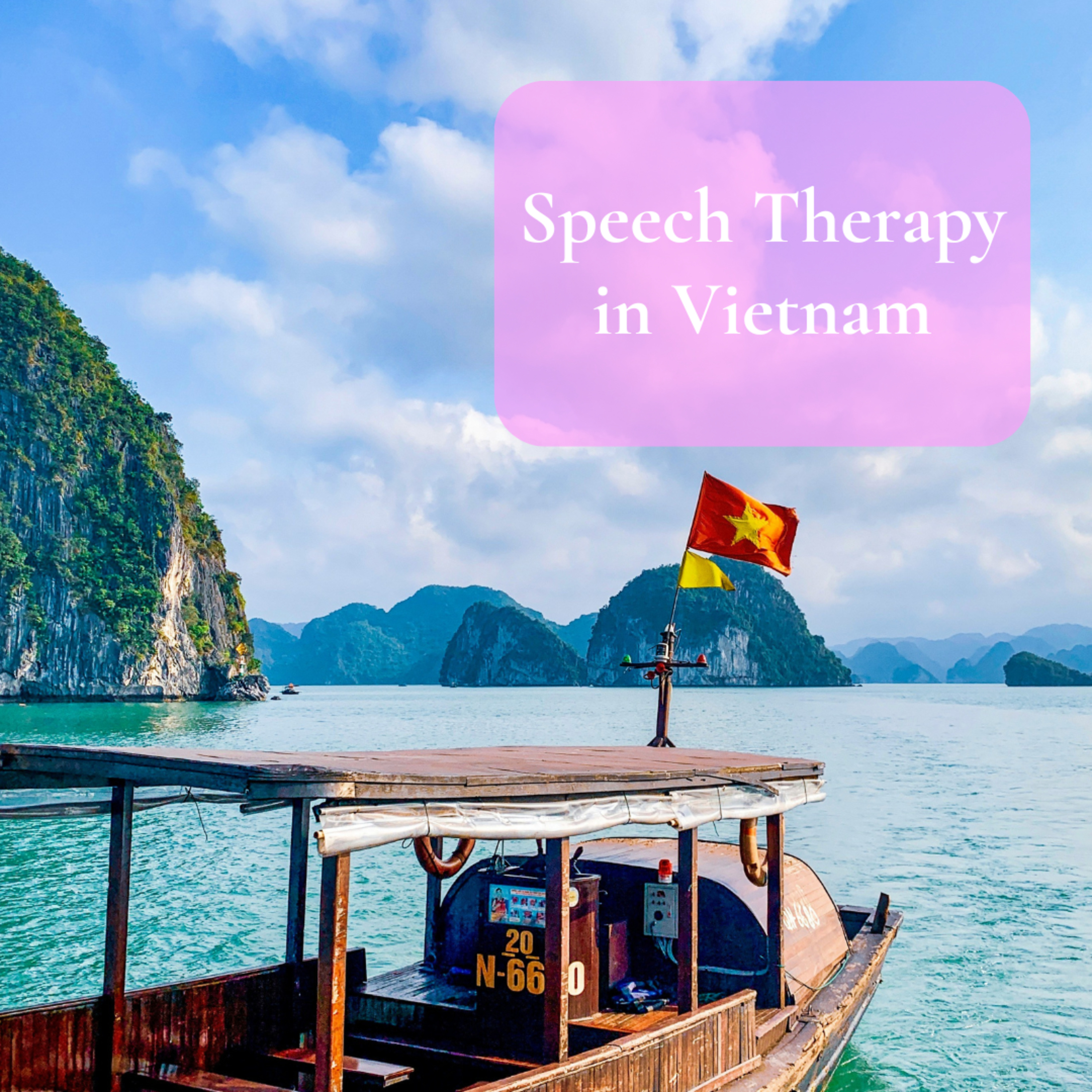 Speech Therapy in Vietnam episode artwork