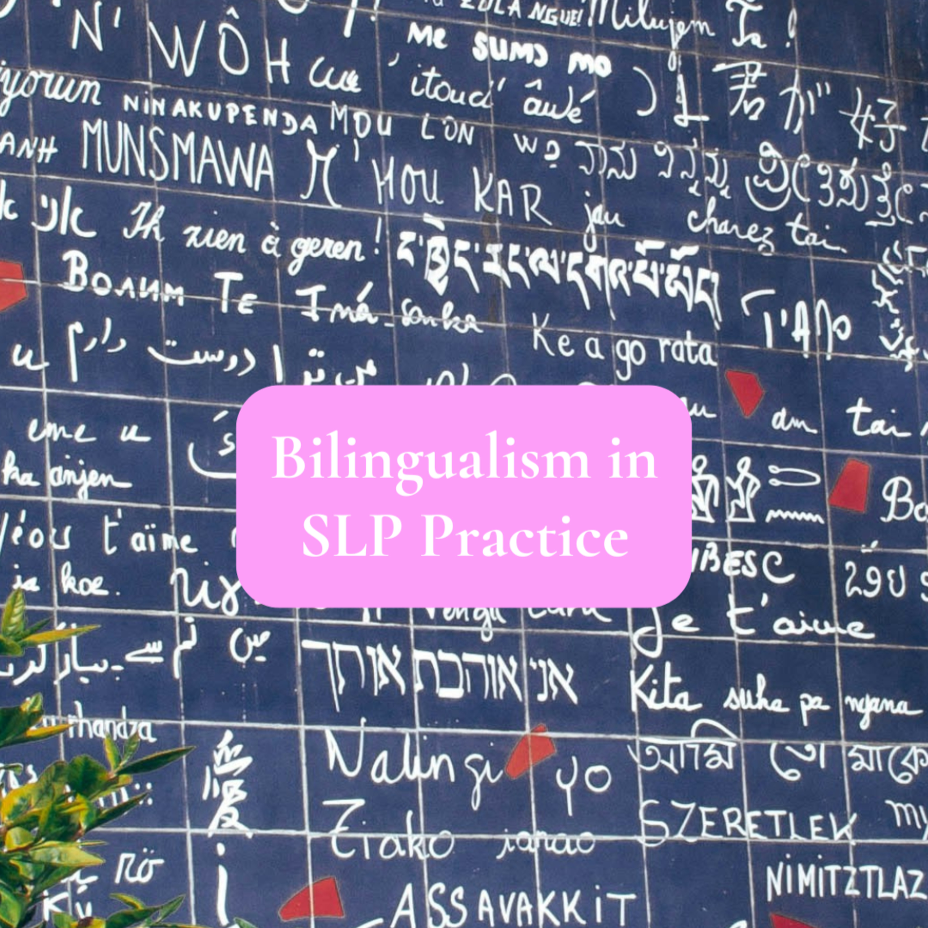 Bilingualism in SLP Practice episode artwork