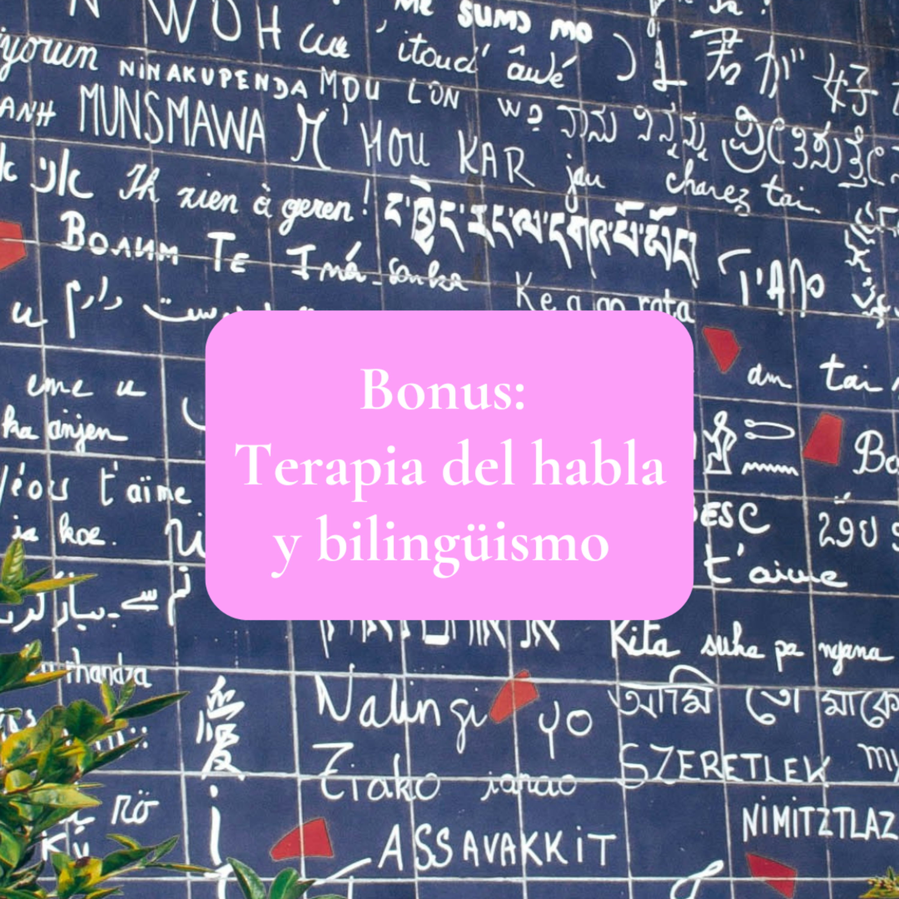 Bonus: Terapia del habla y bilingüismo episode artwork