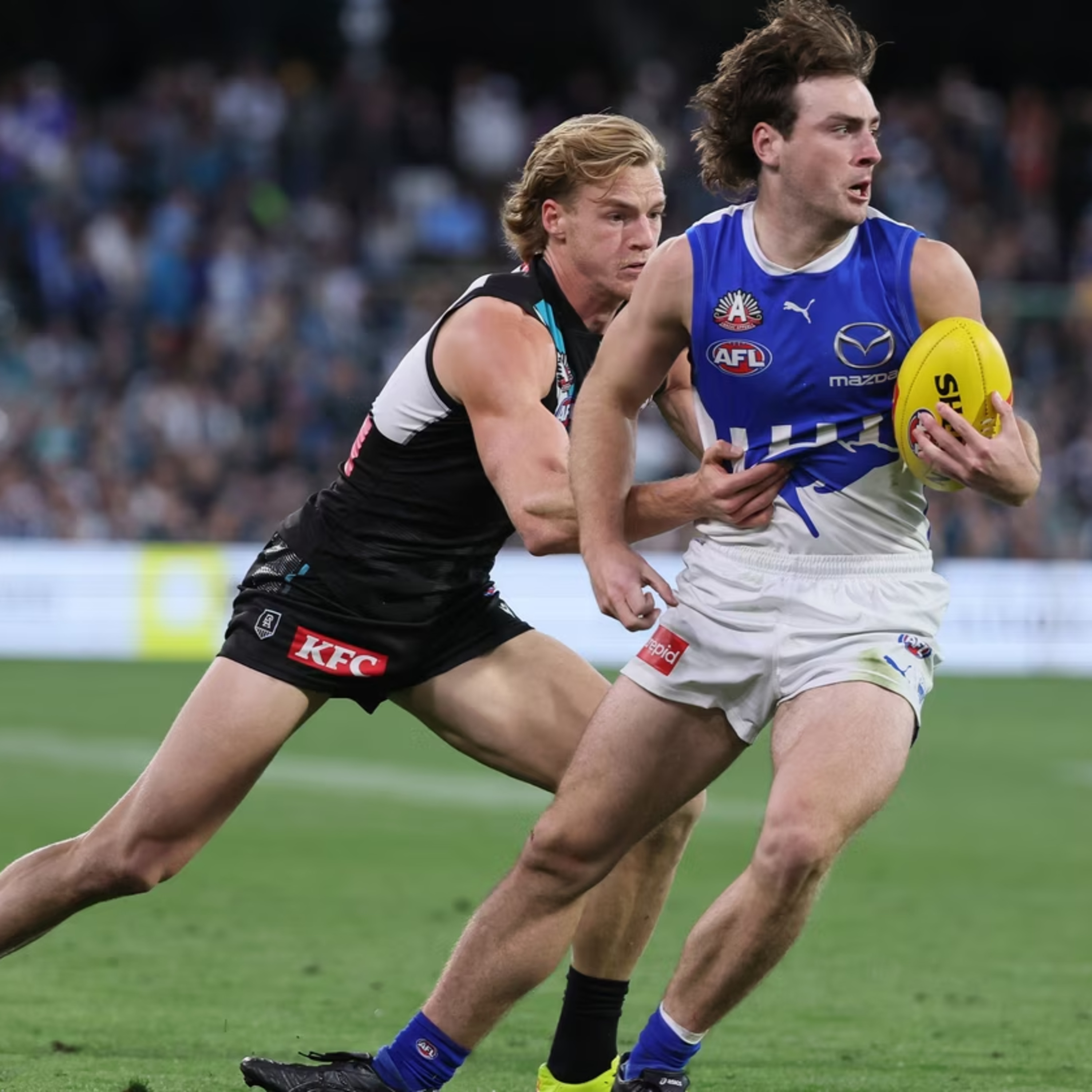 The Shinboners - North Melbourne Podcast