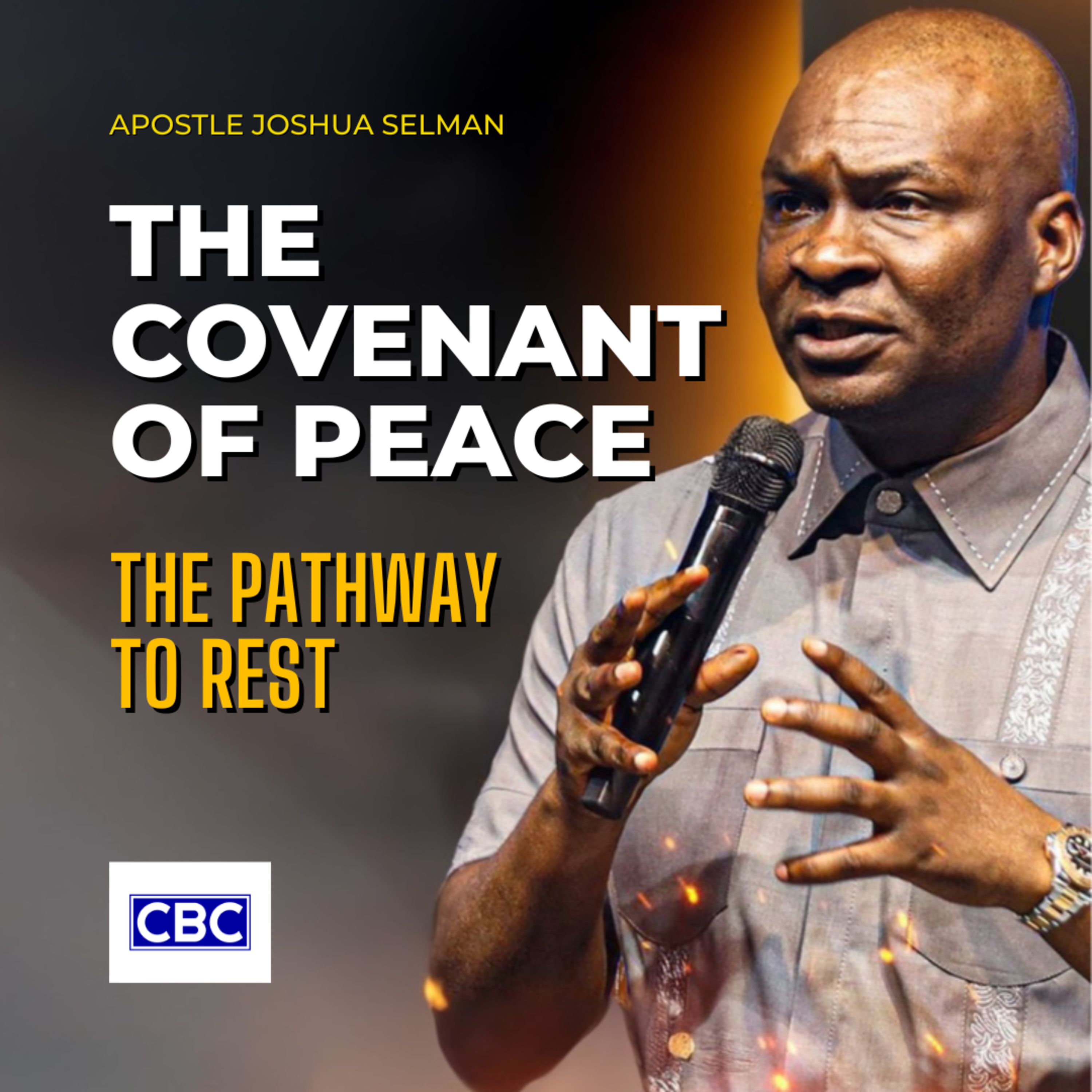 The Covenant of Peace (The Pathway To Rest) || Apostle Joshua Selman episode artwork