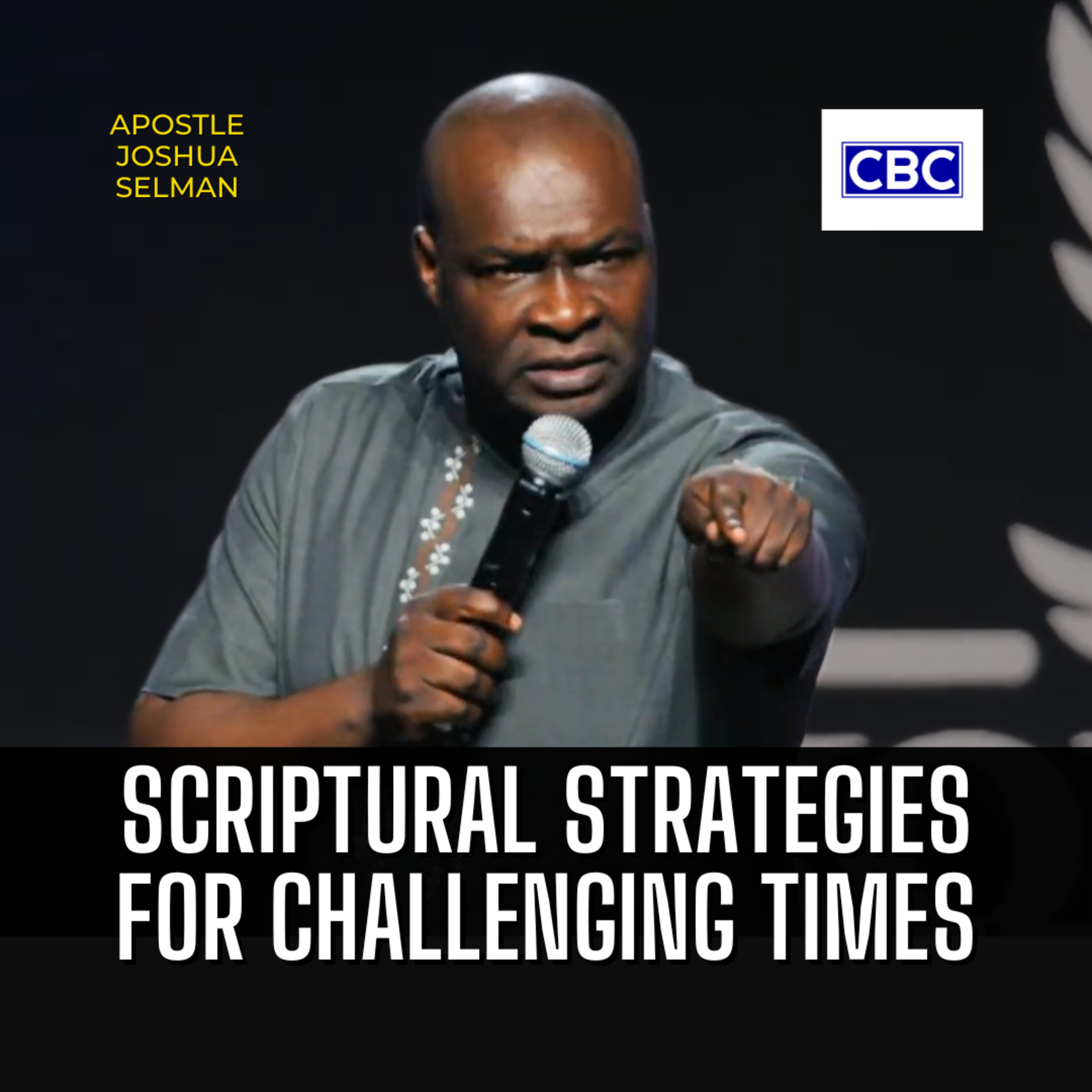 Scriptural Strategies For Challenging Times || Apostle Joshua Selman episode artwork