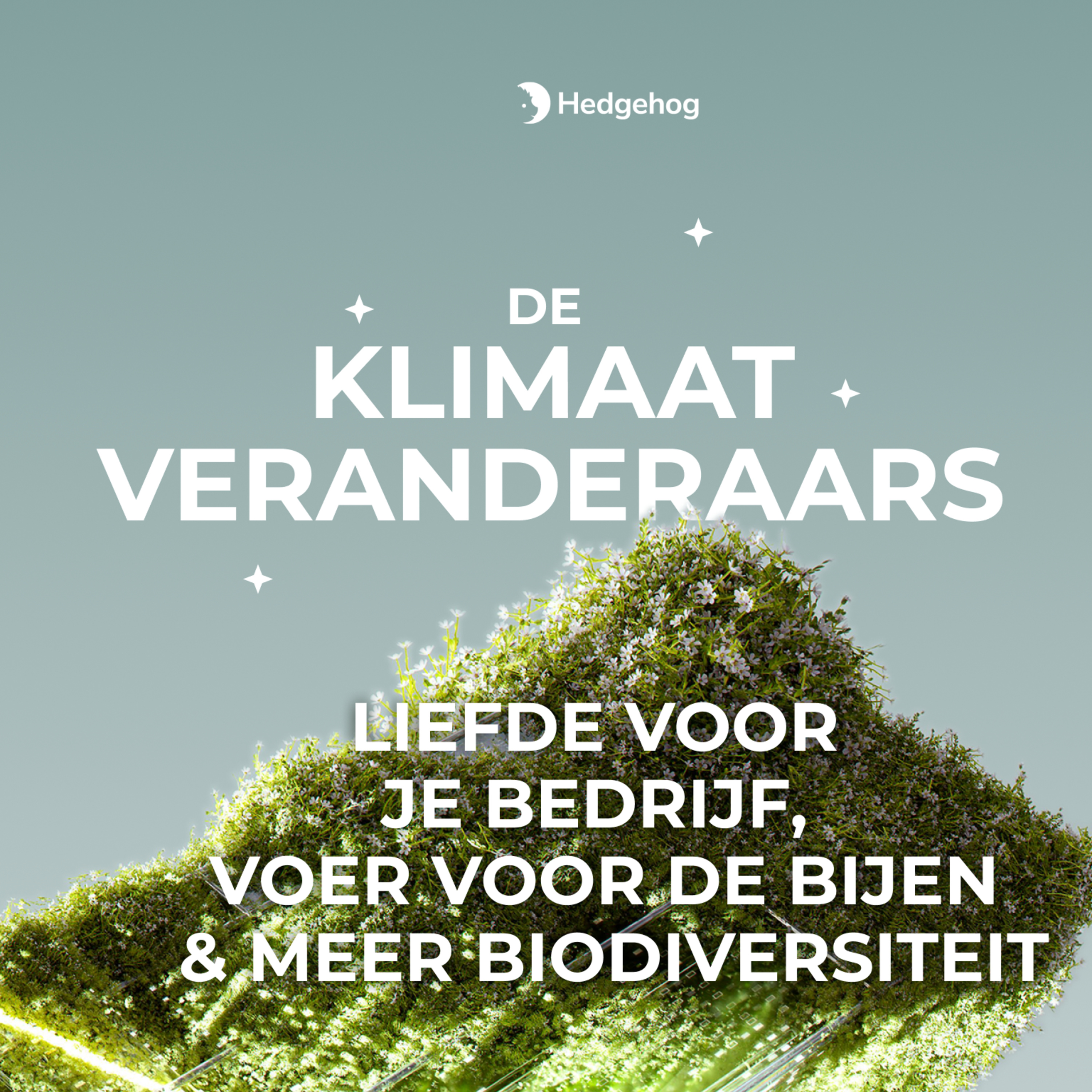 Liefde voor je bedrijf, voer voor de bijen & meer biodiversiteit - Blossombs