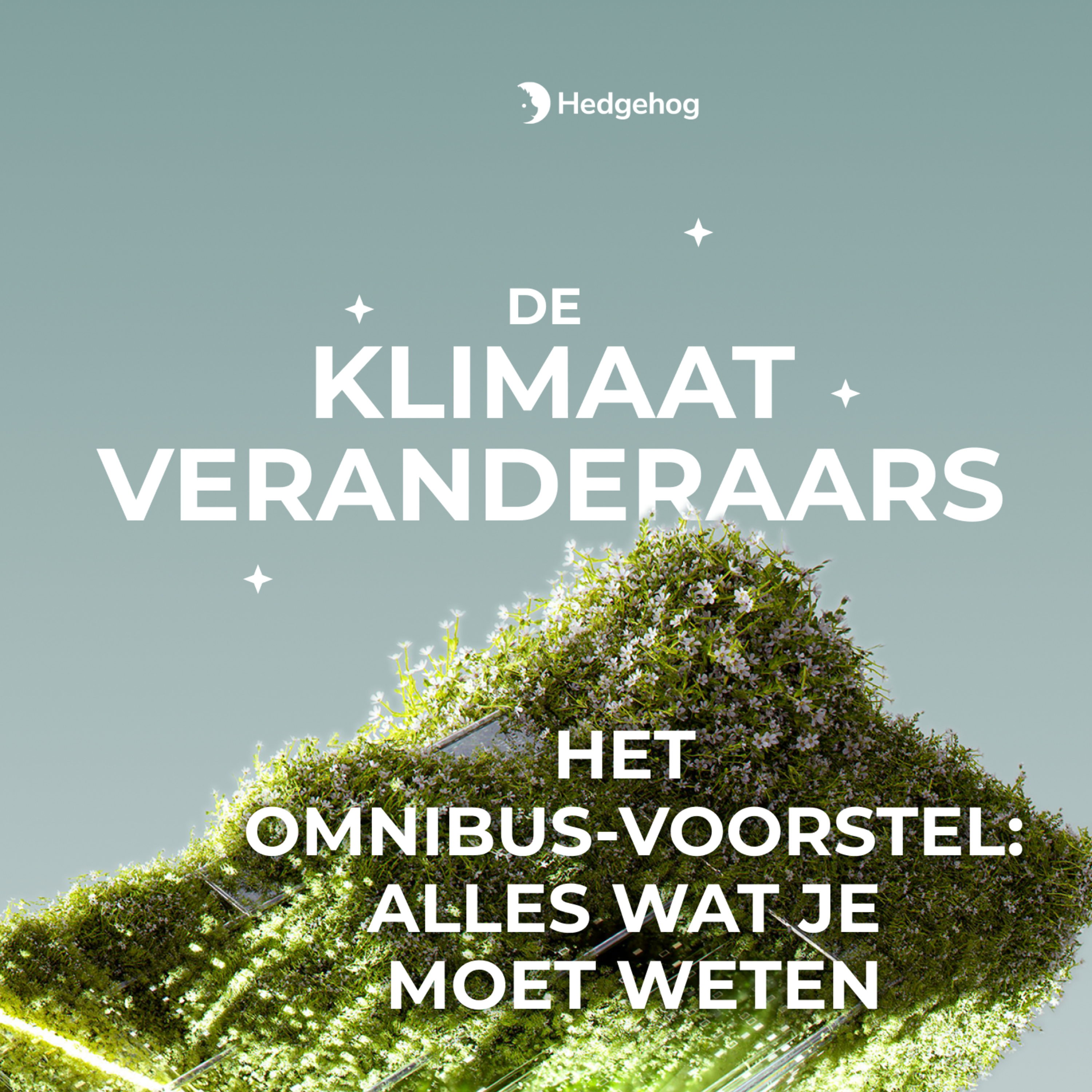 Het Omnibus-voorstel: alles wat je moet weten & next-steps - Factor Delta