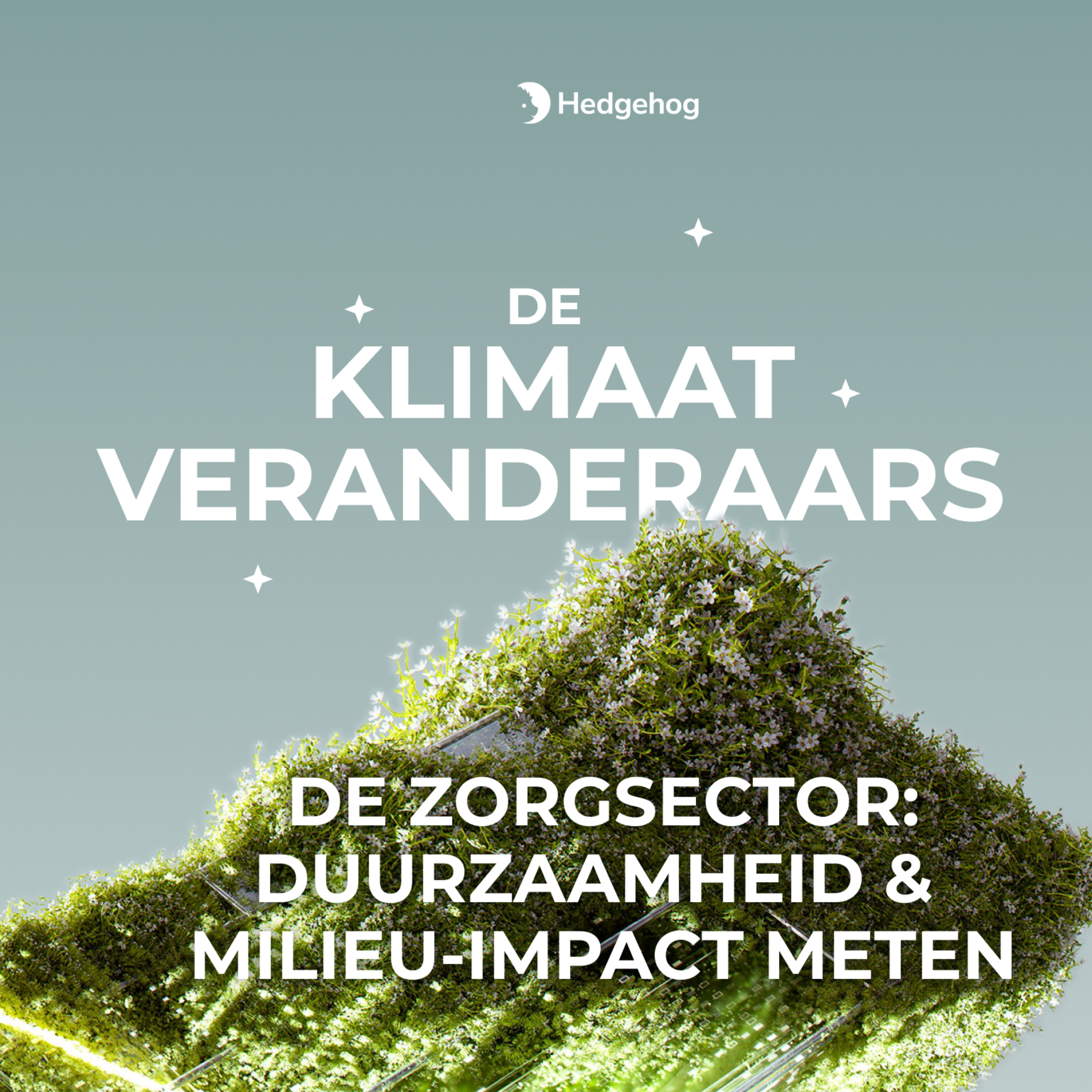 De Klimaat Veranderaars - in gesprek over positieve duurzaamheid