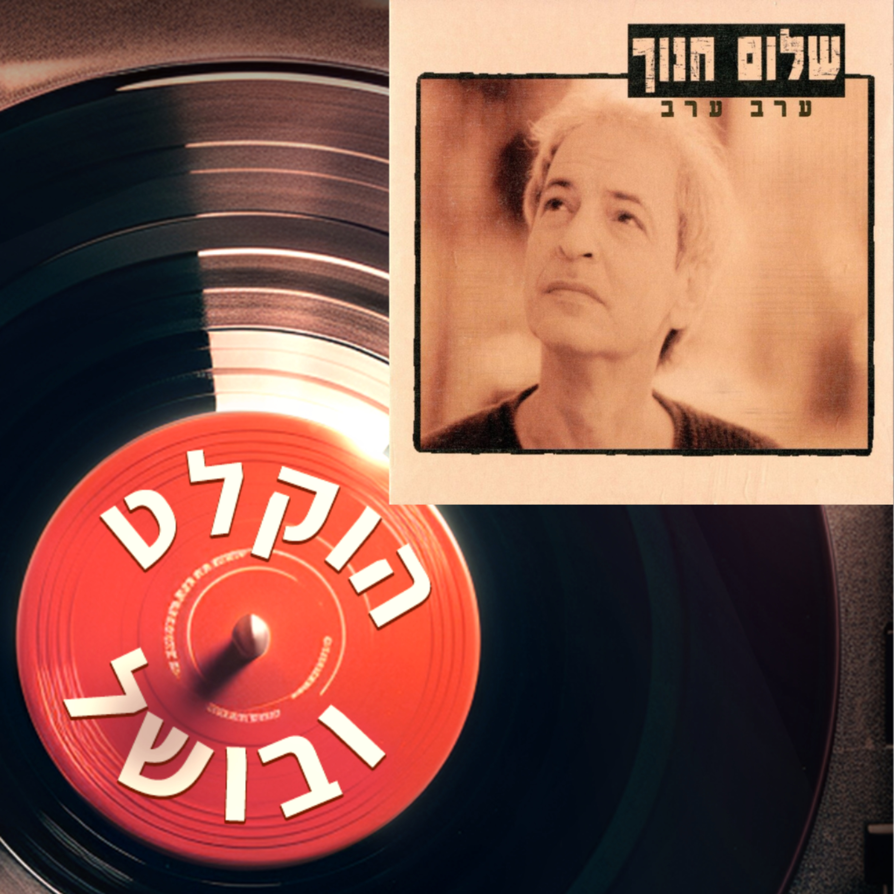פרק 8 - שלום חנוך ערב ערב (1997) episode artwork