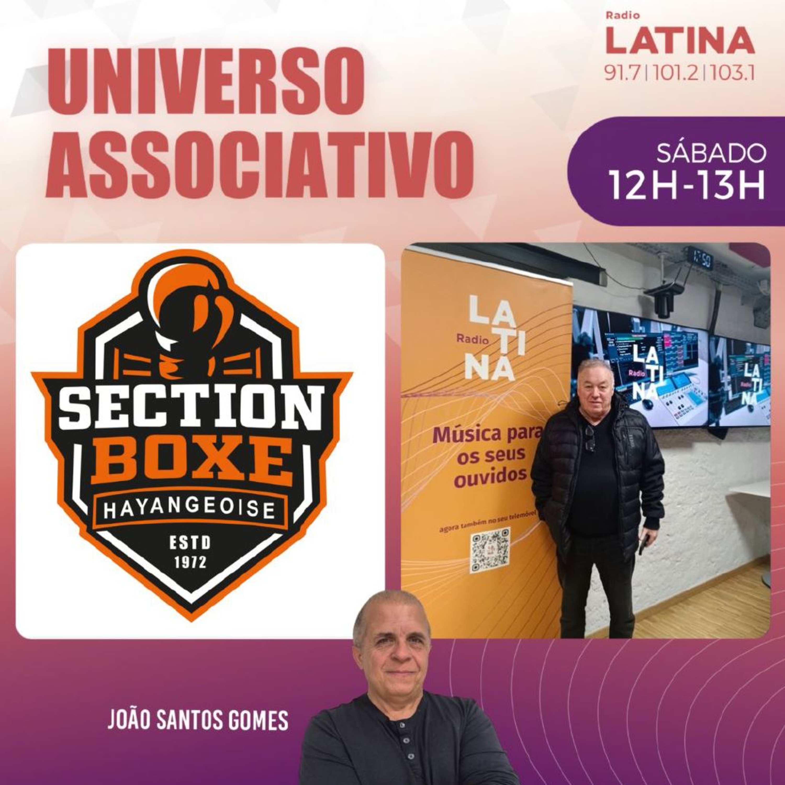 Boxe Hayangeoise T3 E21