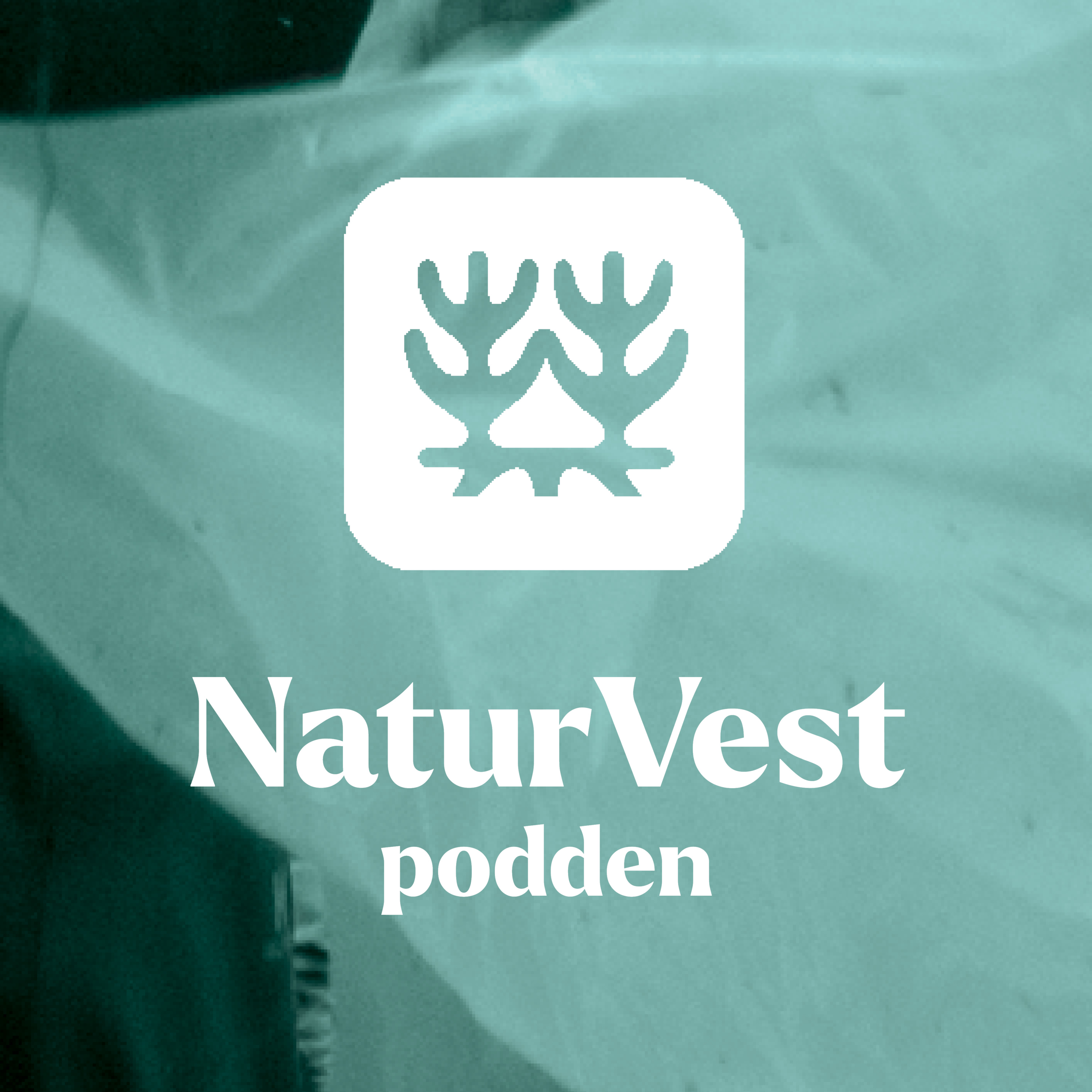 Mikroplast fra skipsvask  episode artwork