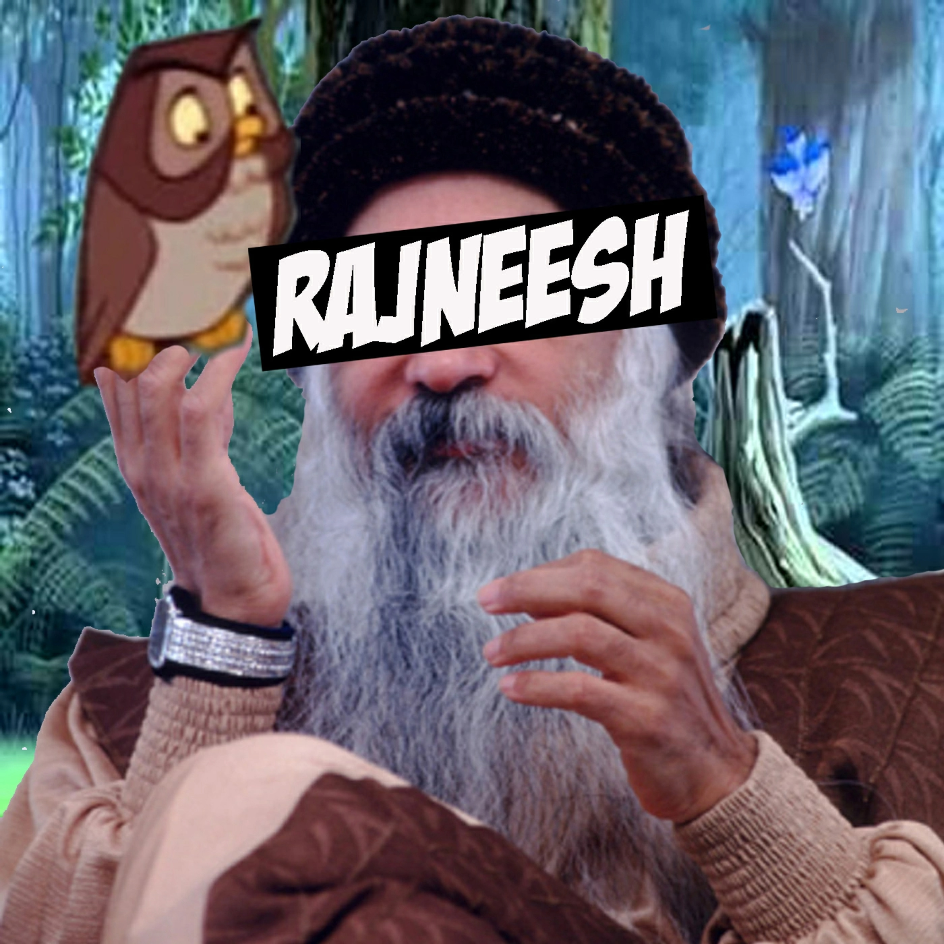 We Love Rajneesh Osho Much