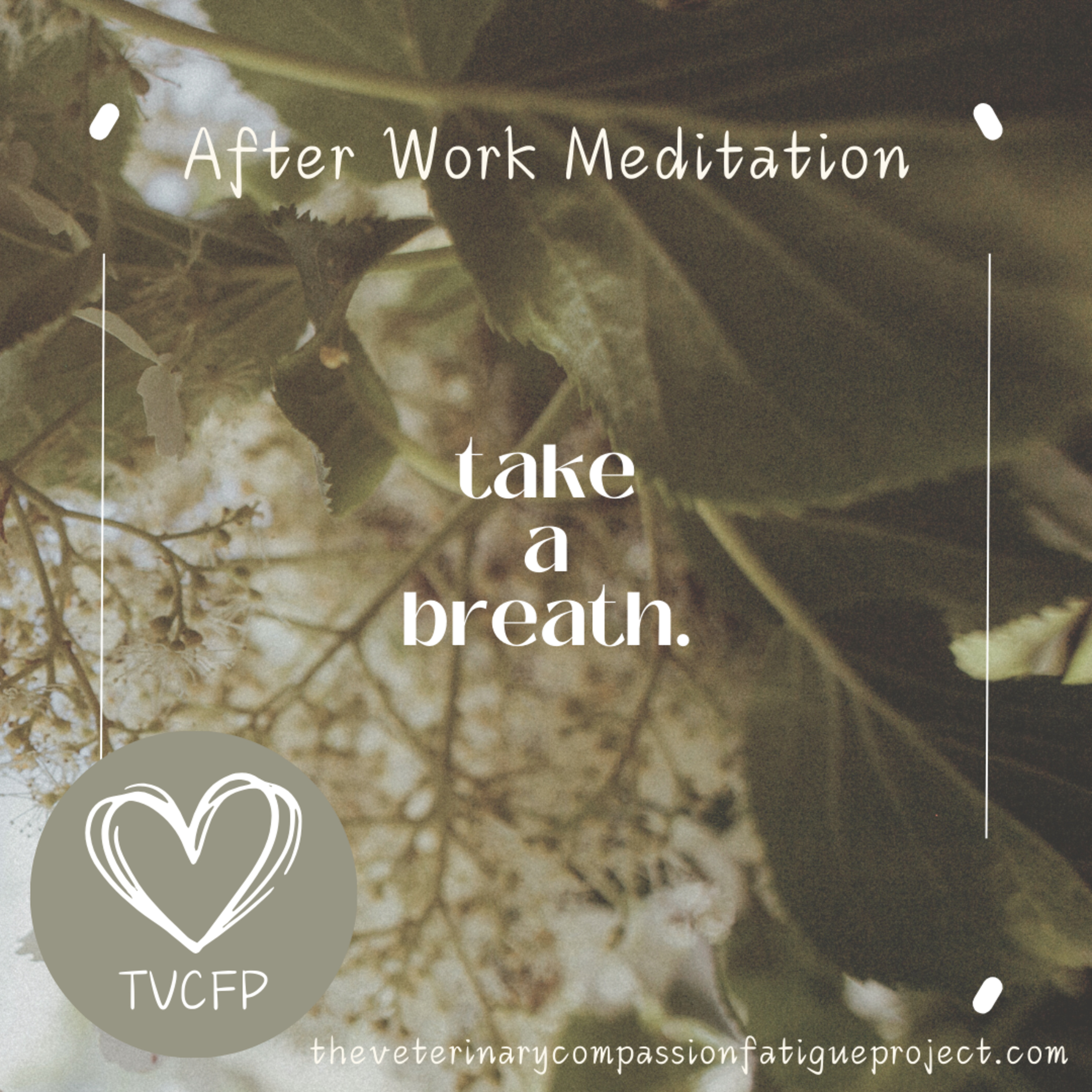 Meditation - After Work Release episode artwork