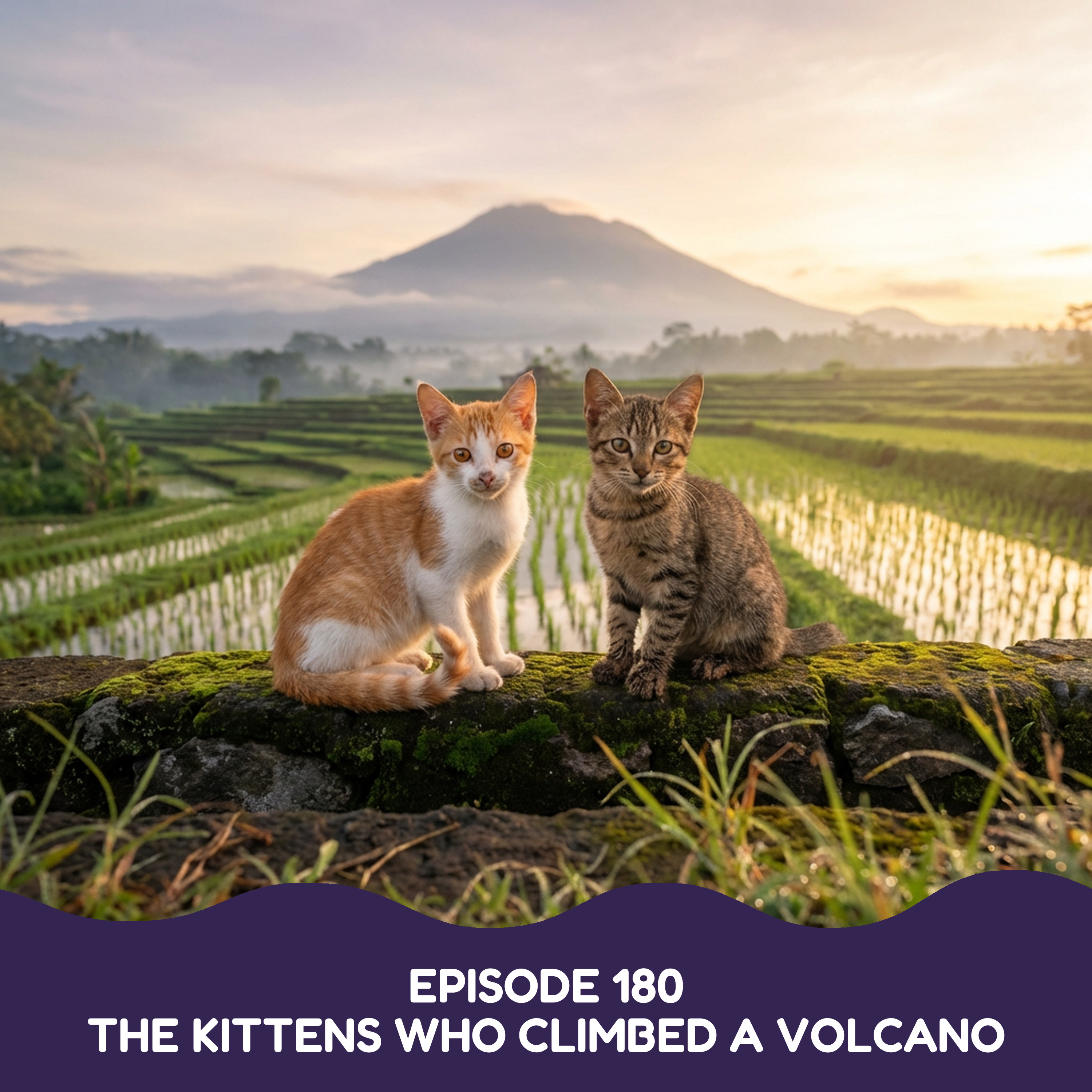 The Kittens Who Climbed a Volcano