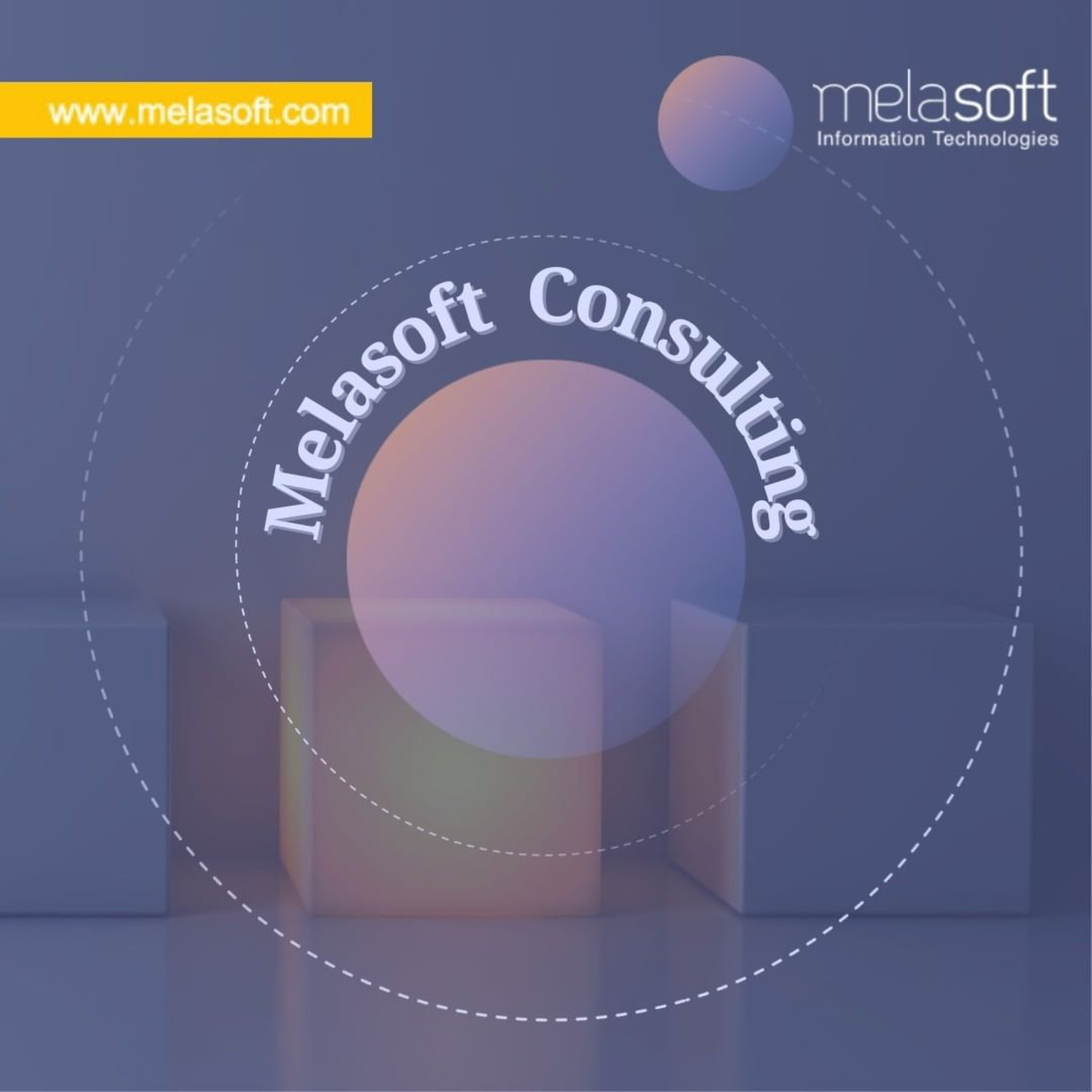 Melasoft Business Solutions