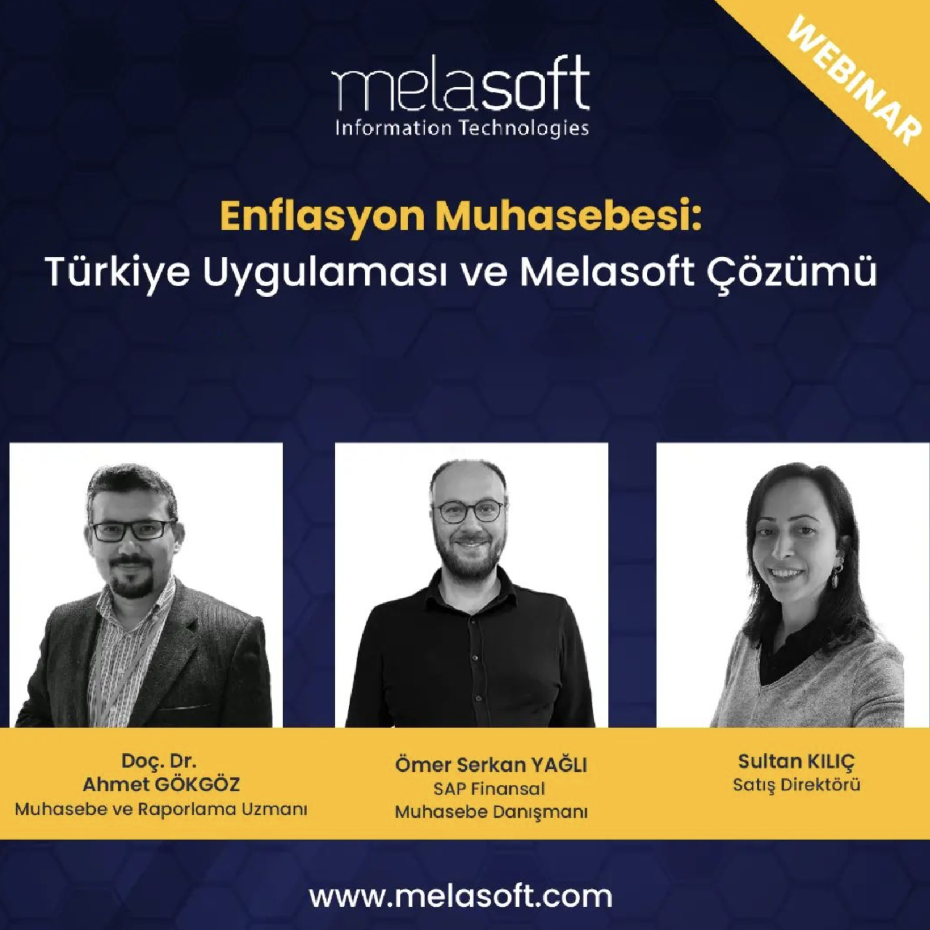 Melasoft Business Solutions