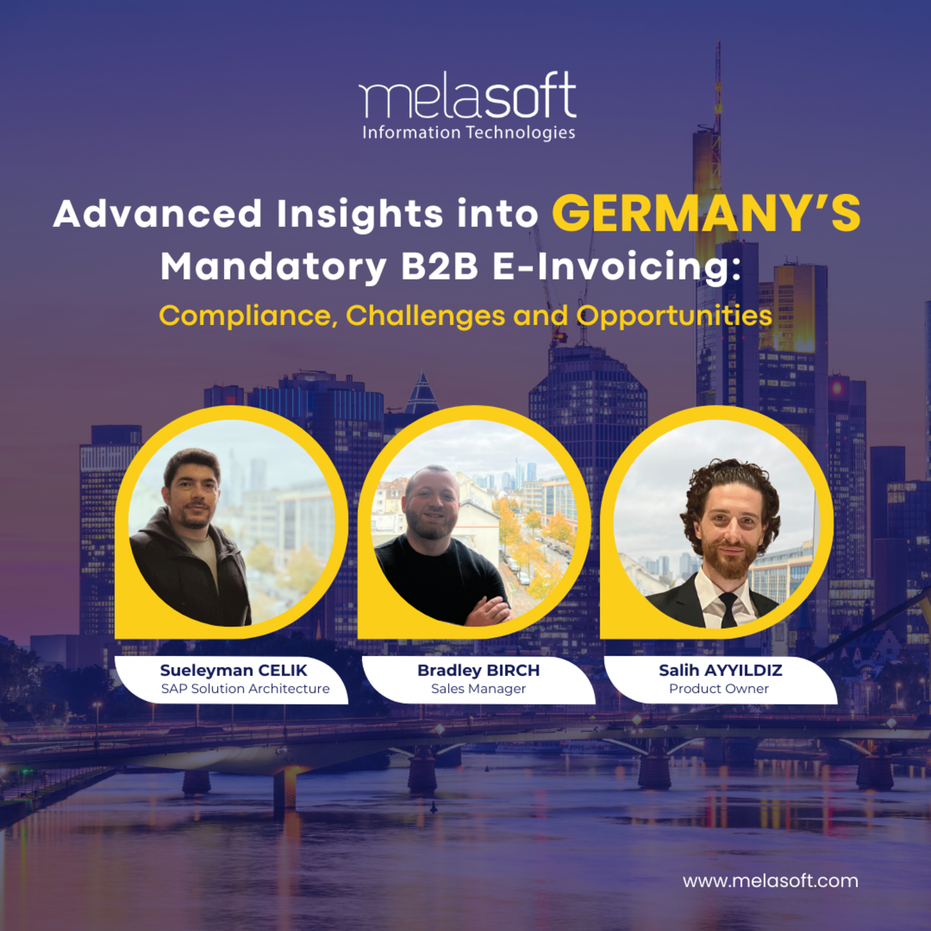 Melasoft Business Solutions