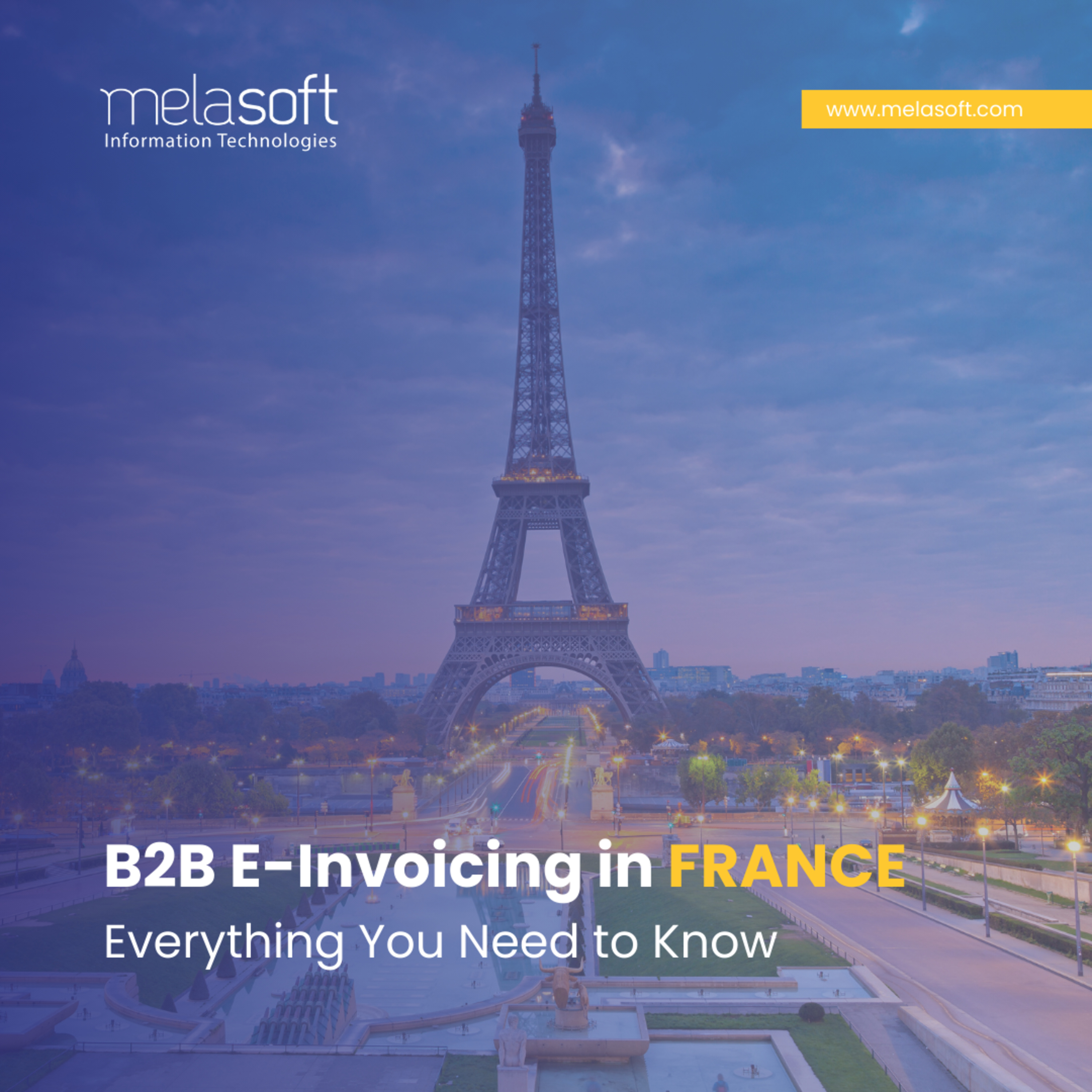 Melasoft Business Solutions