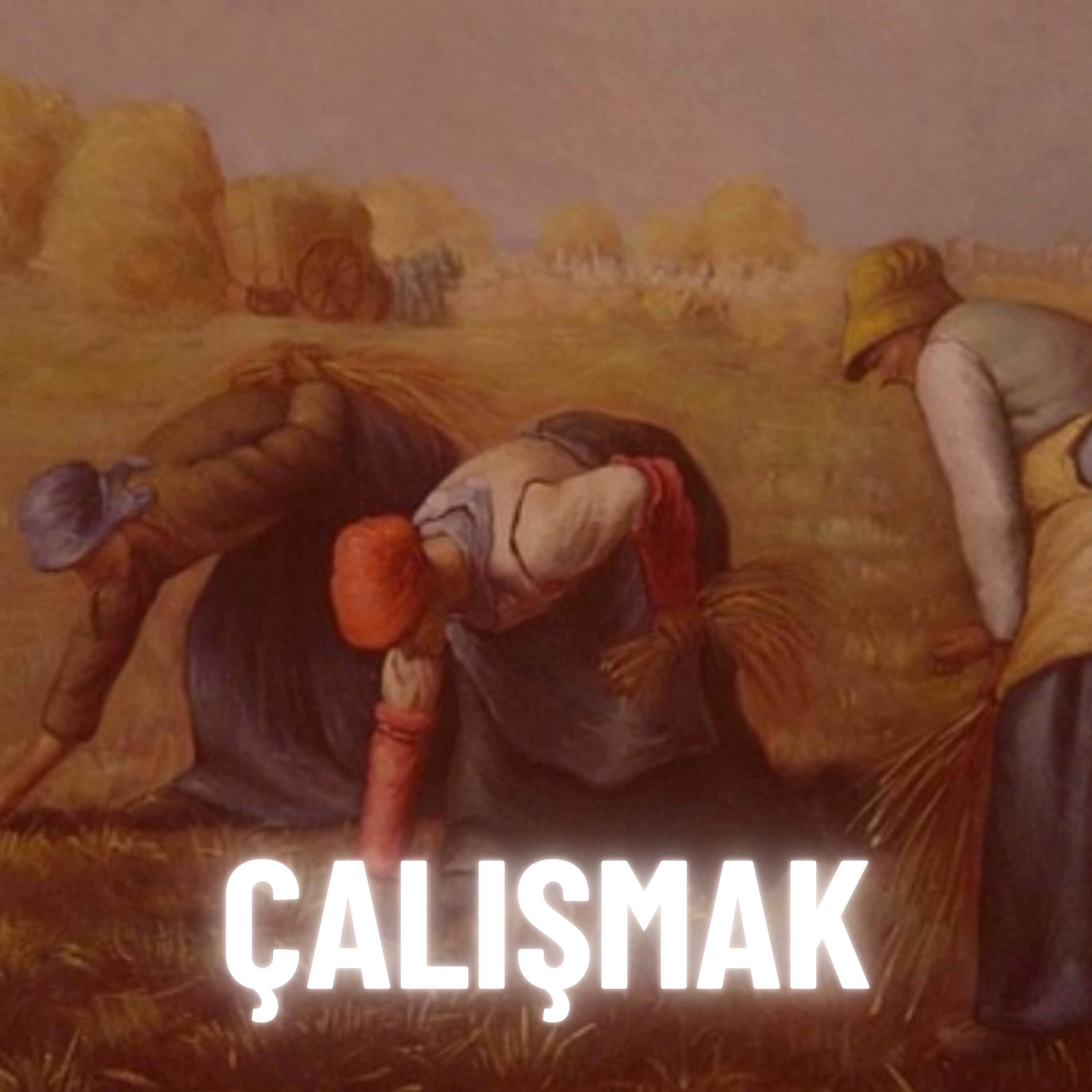 Yeni İnsan