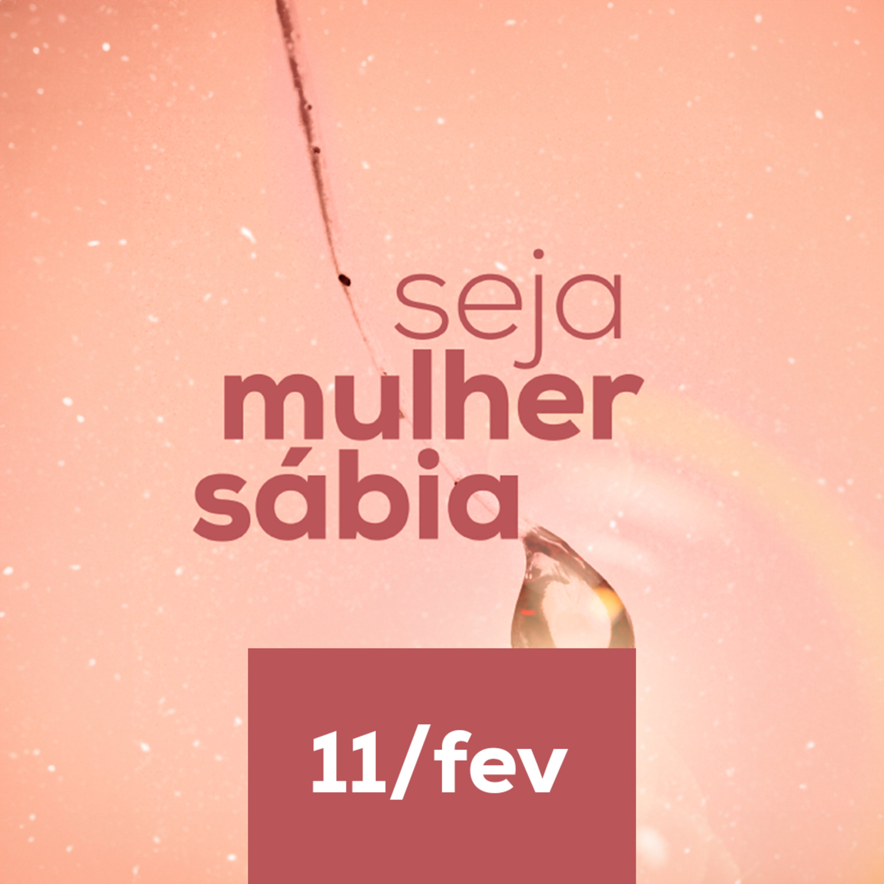 Seja Mulher Sábia - 11/Fev