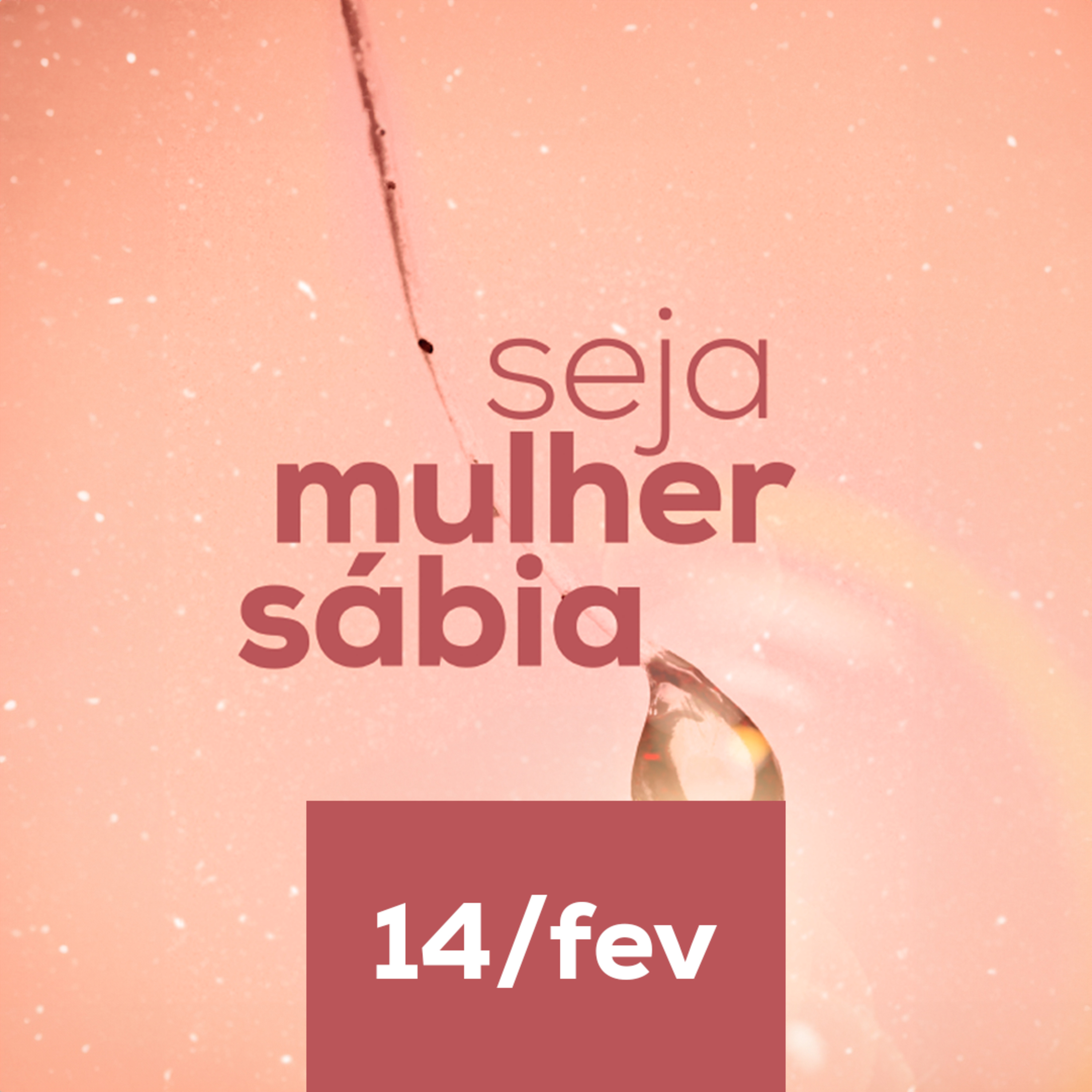 Seja Mulher Sábia - 14/Fev episode artwork