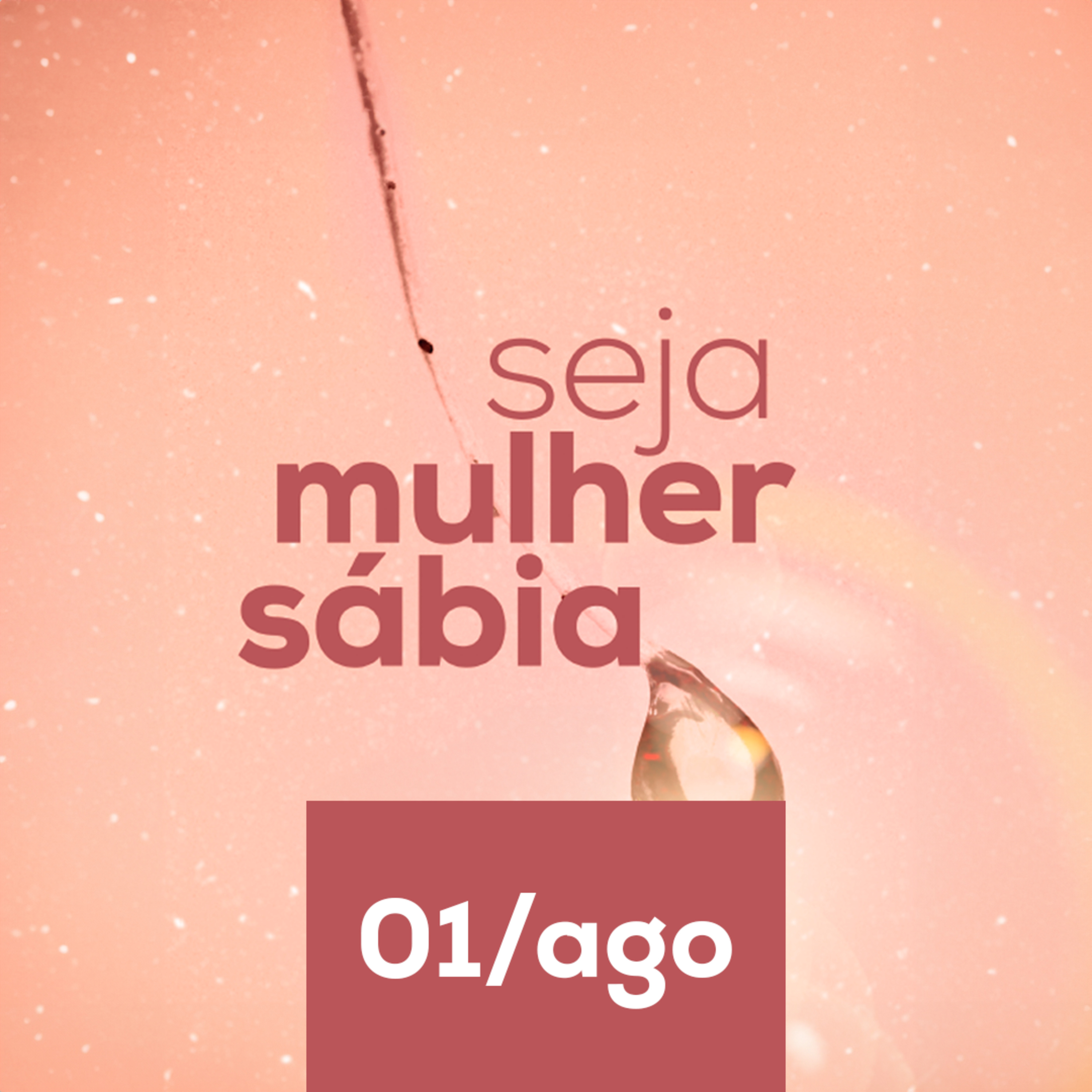 Devocional Seja Mulher Sábia