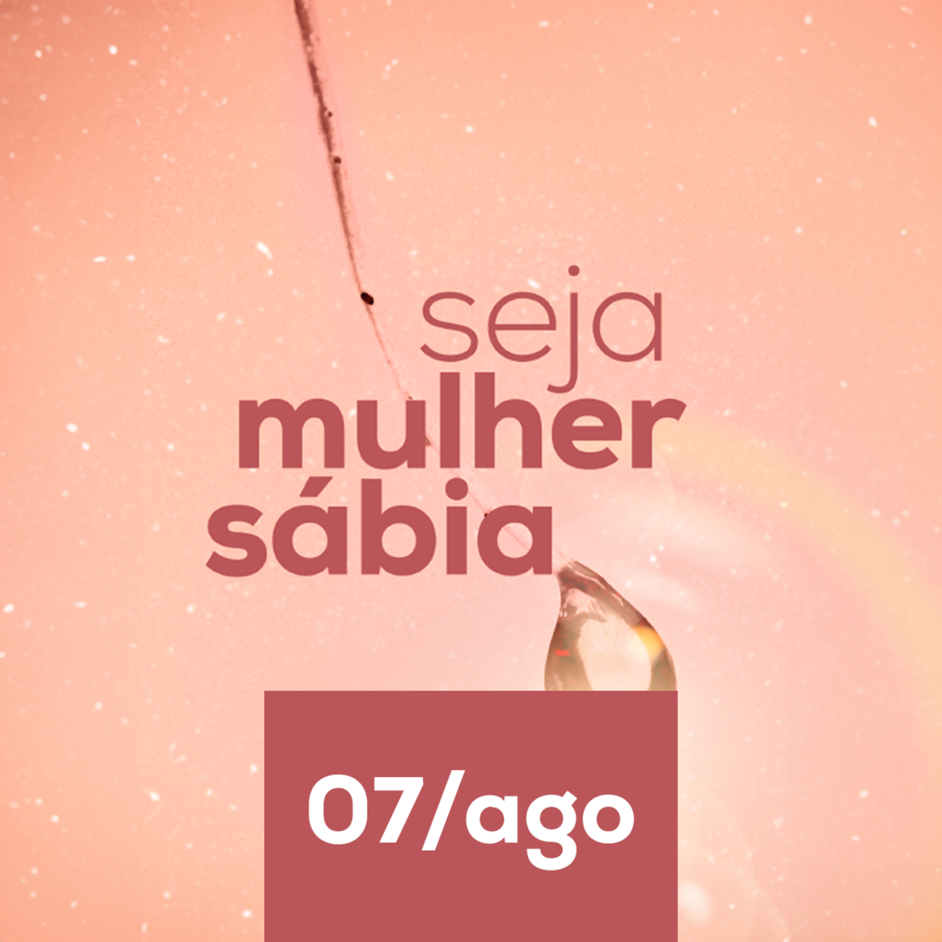 Devocional Seja Mulher Sábia