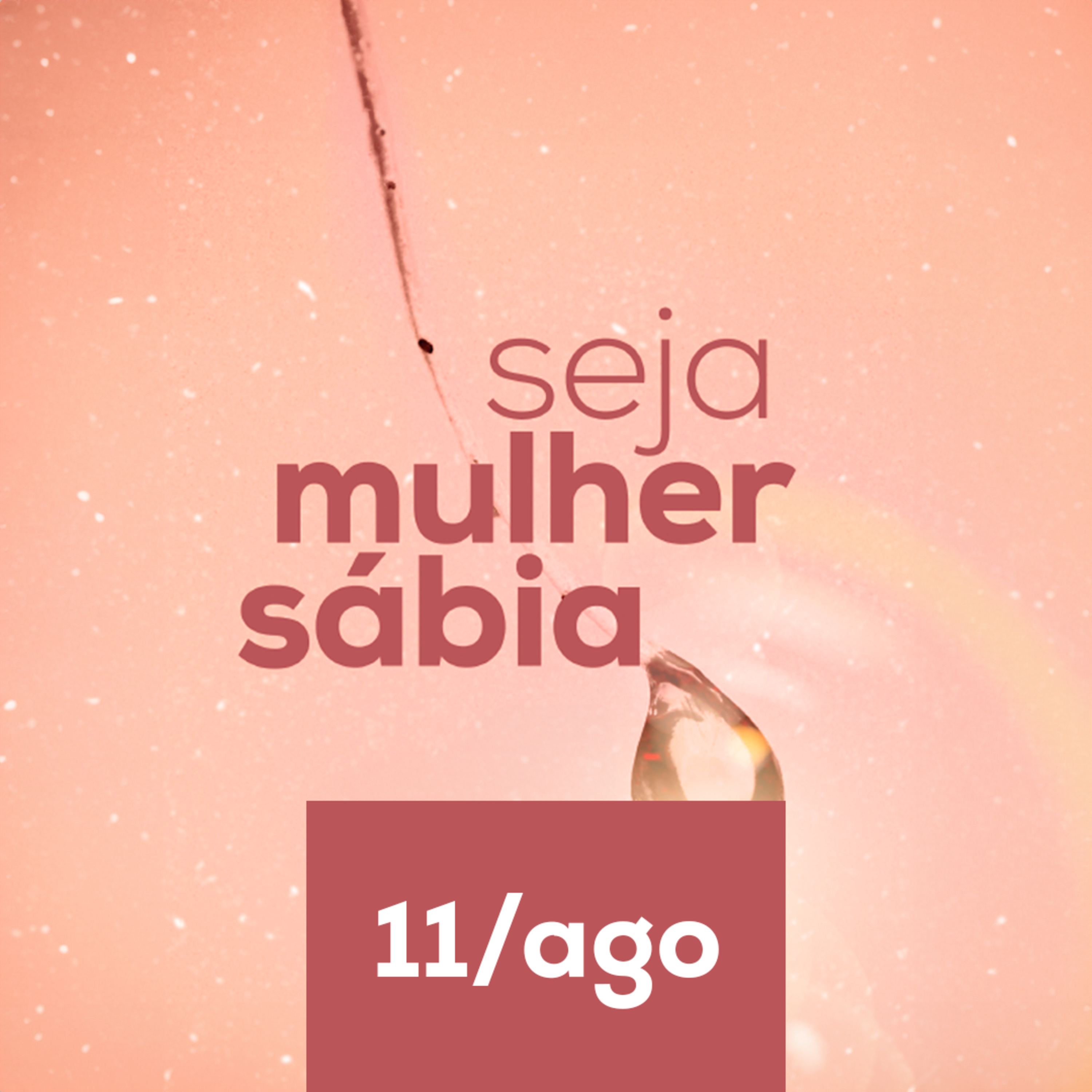 Devocional Seja Mulher Sábia